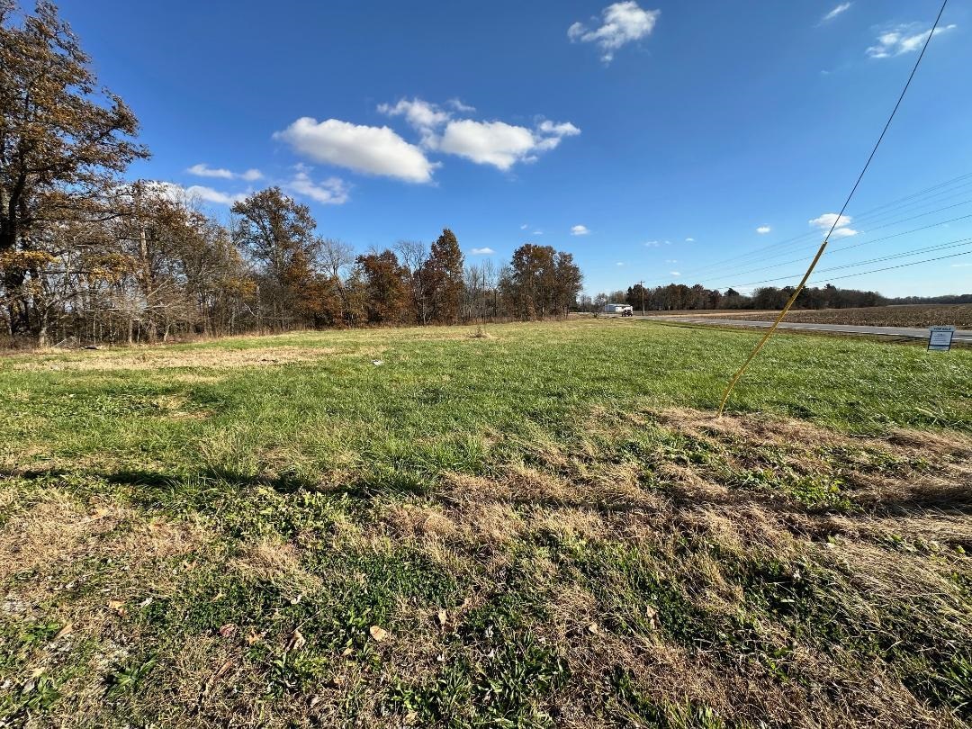 16003 Hwy 60, Reed, Kentucky 42451, ,Land,For Sale,Hwy 60,93176