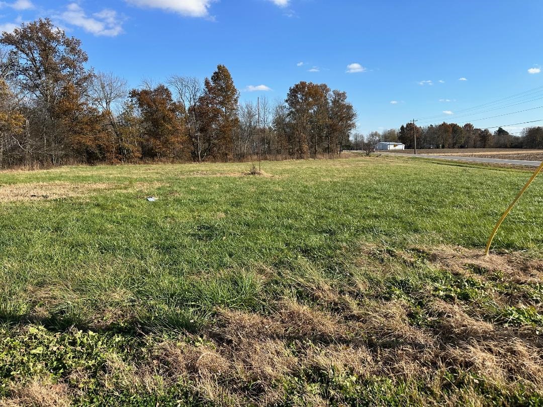 16003 Hwy 60, Reed, Kentucky 42451, ,Land,For Sale,Hwy 60,93176