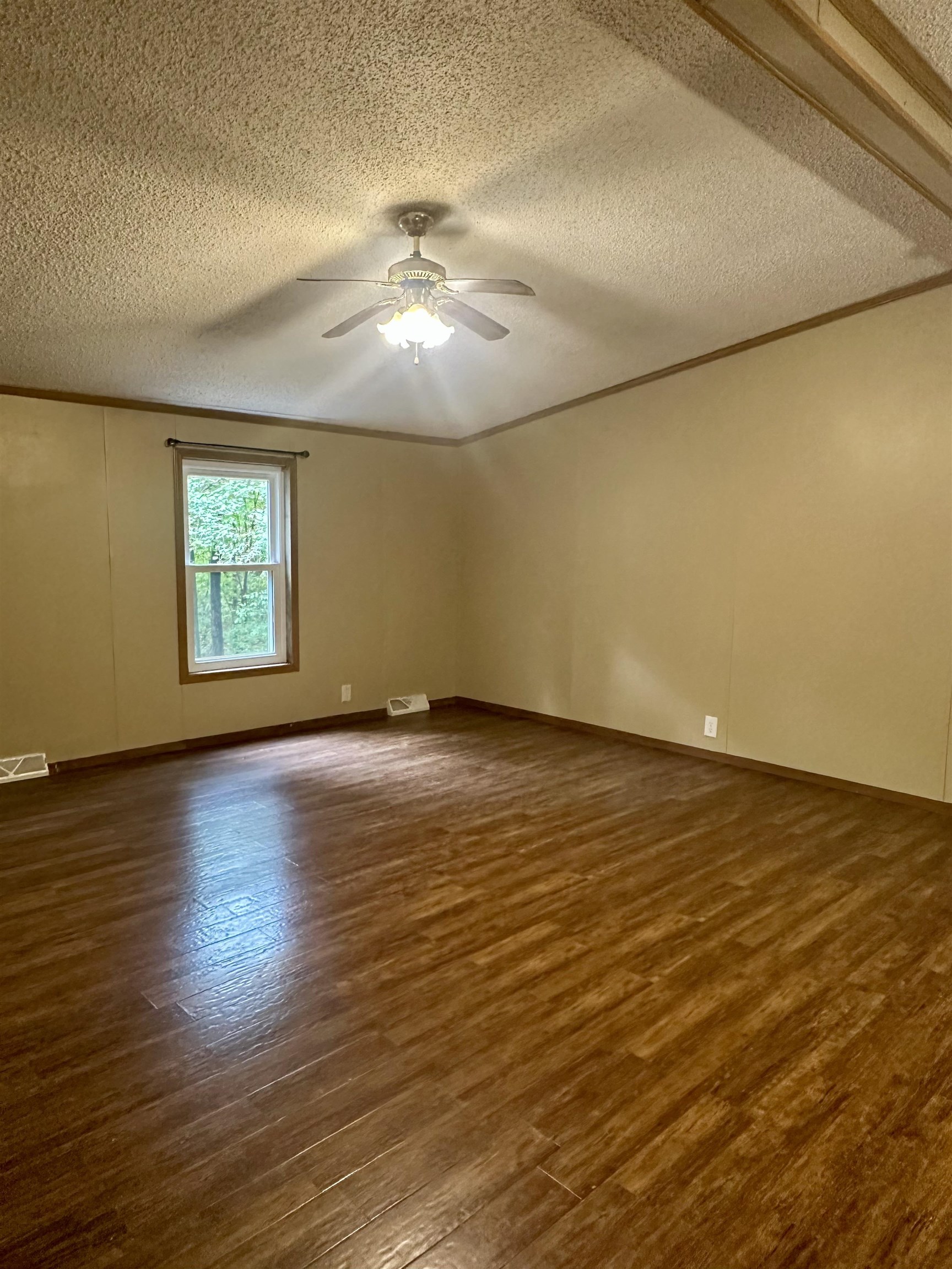 91 Phelps Drive, Cromwell, Kentucky 42347, 3 Bedrooms Bedrooms, ,2 BathroomsBathrooms,Single Family Residence,For Sale,Phelps Drive,93205