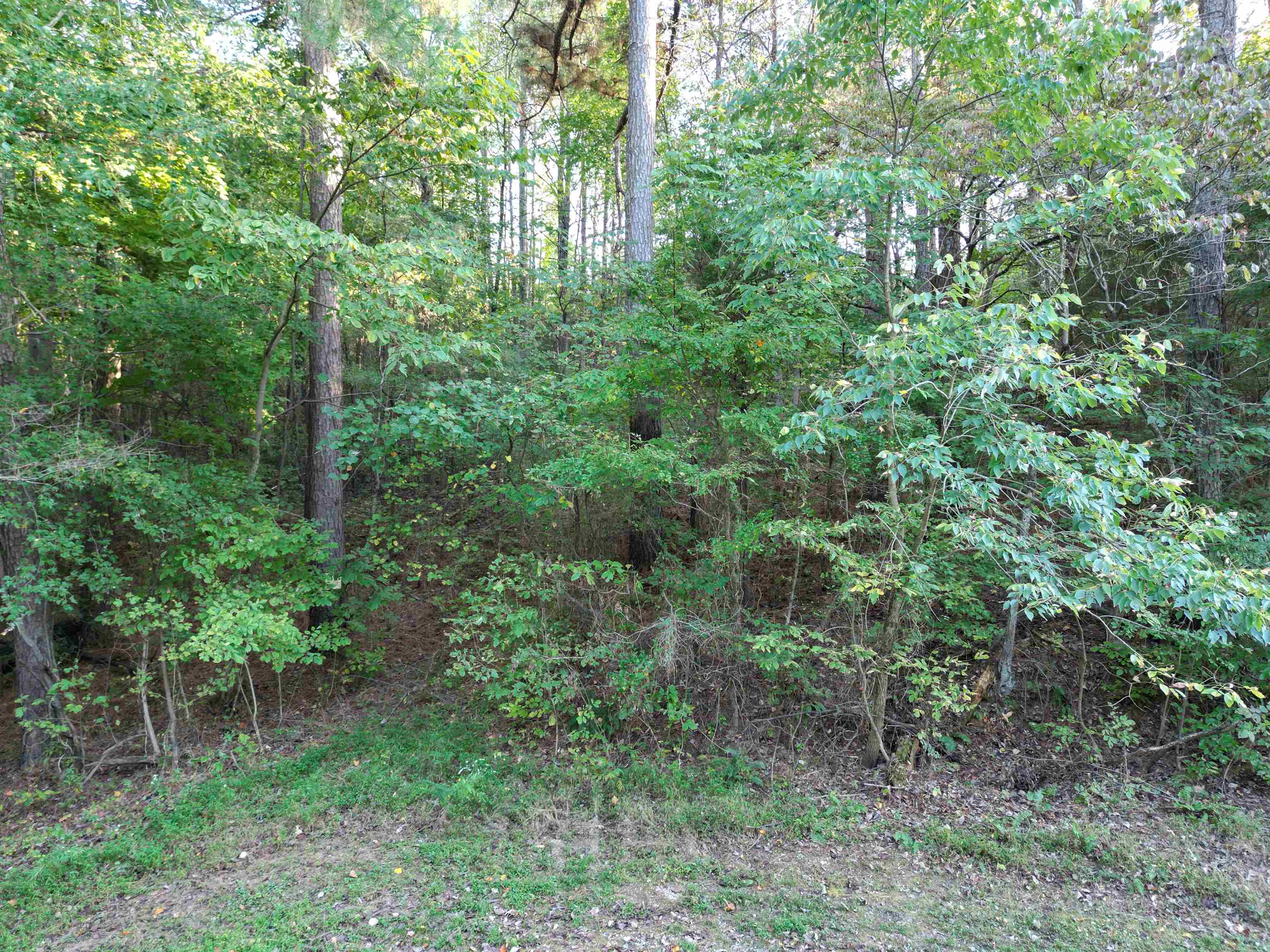 0 Kassinger Ln, Hartford, Kentucky 42347, ,Land,For Sale,Kassinger Ln,93206