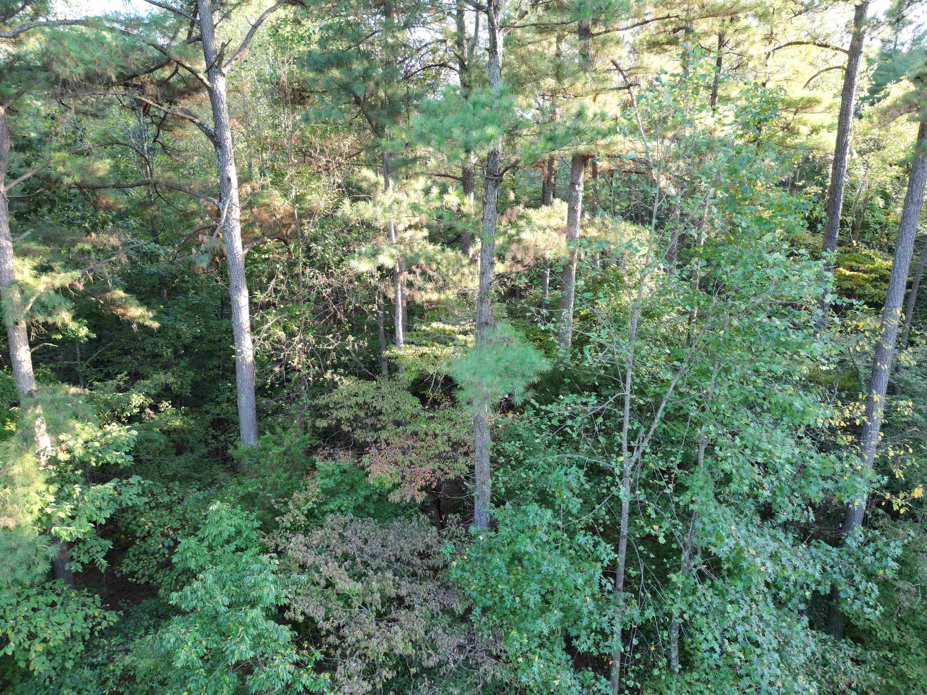 0 Kassinger Ln, Hartford, Kentucky 42347, ,Land,For Sale,Kassinger Ln,93206