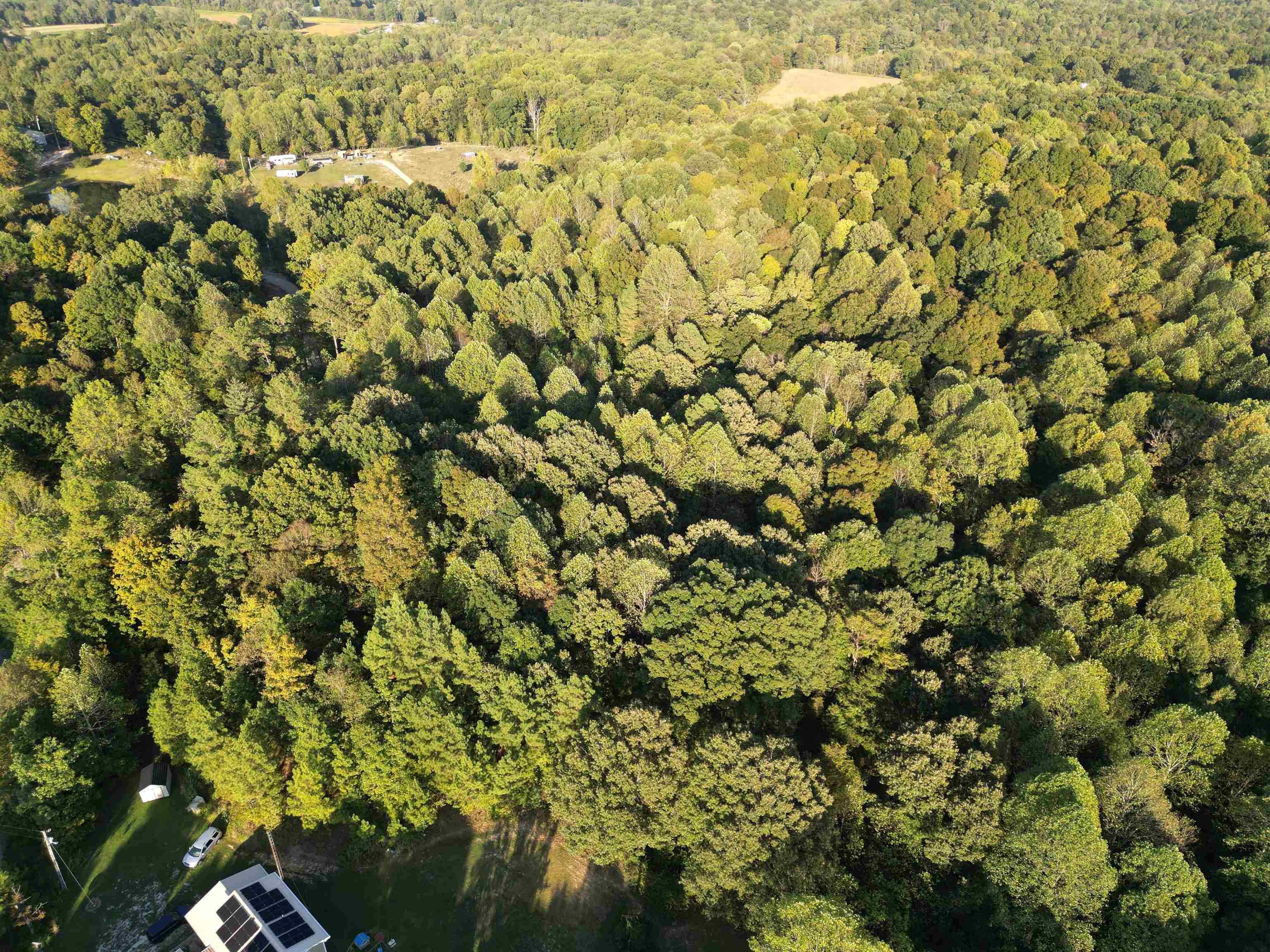 0 Kassinger Ln, Hartford, Kentucky 42347, ,Land,For Sale,Kassinger Ln,93206
