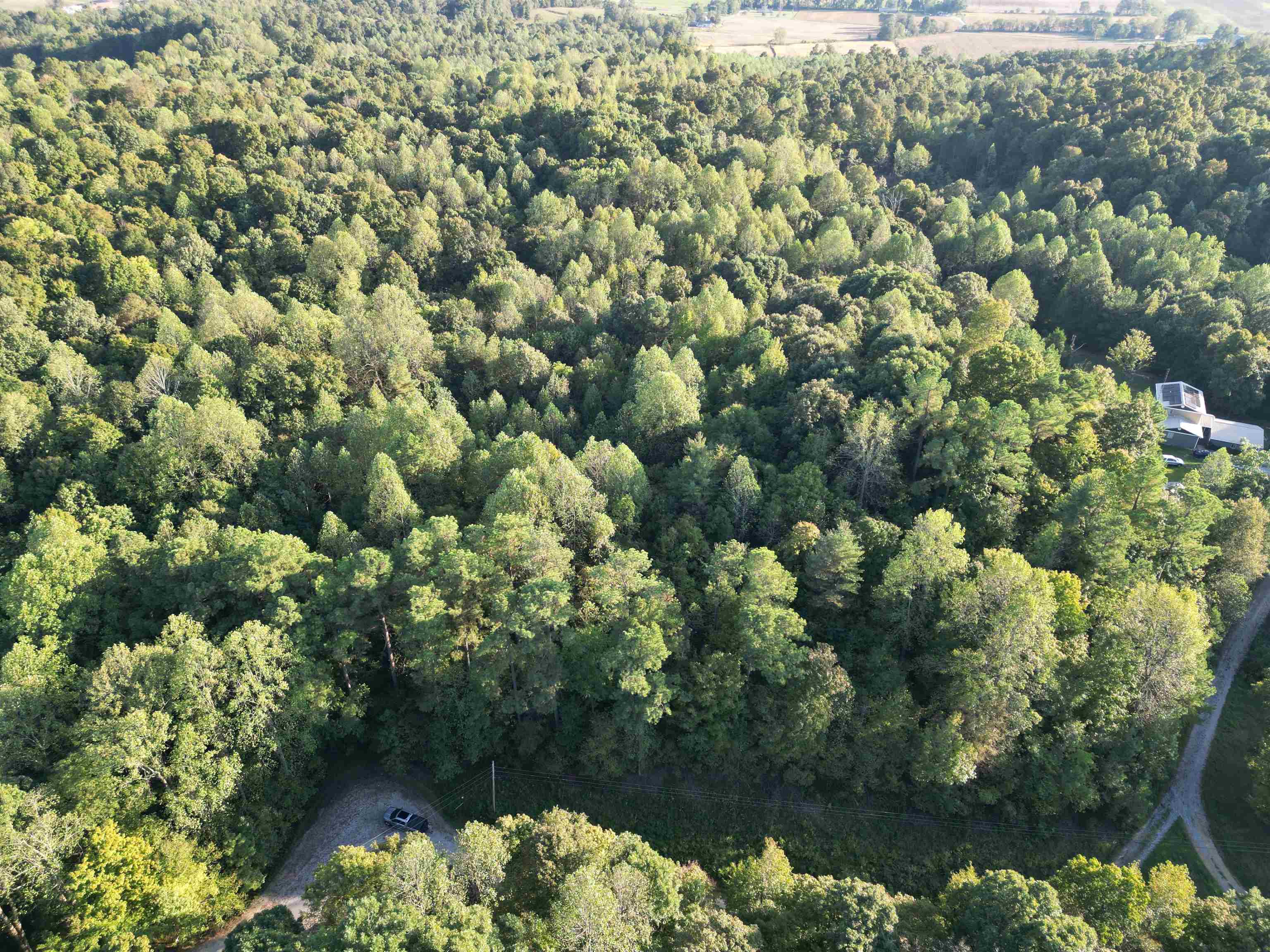 0 Kassinger Ln, Hartford, Kentucky 42347, ,Land,For Sale,Kassinger Ln,93206