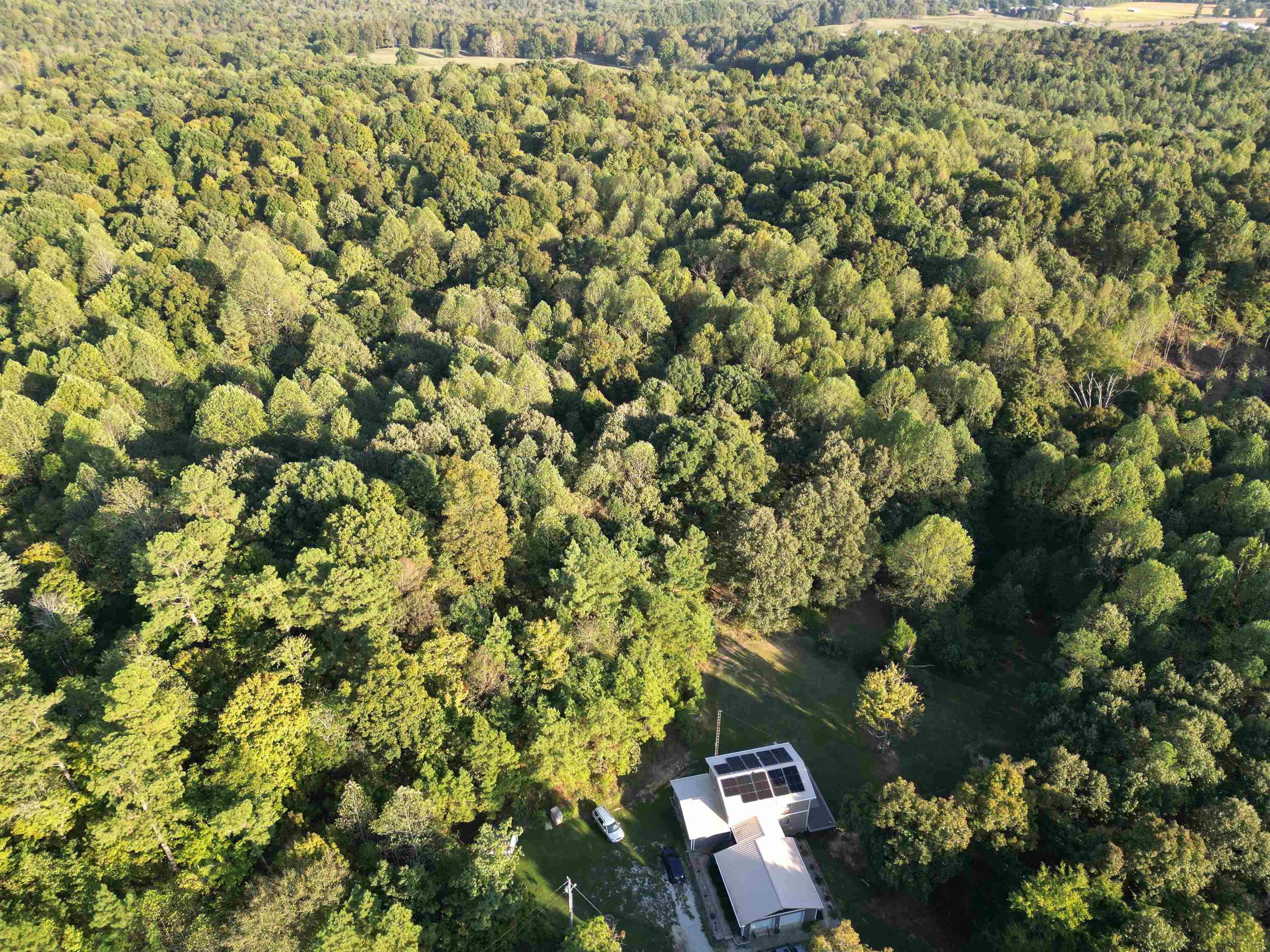 0 Kassinger Ln, Hartford, Kentucky 42347, ,Land,For Sale,Kassinger Ln,93206