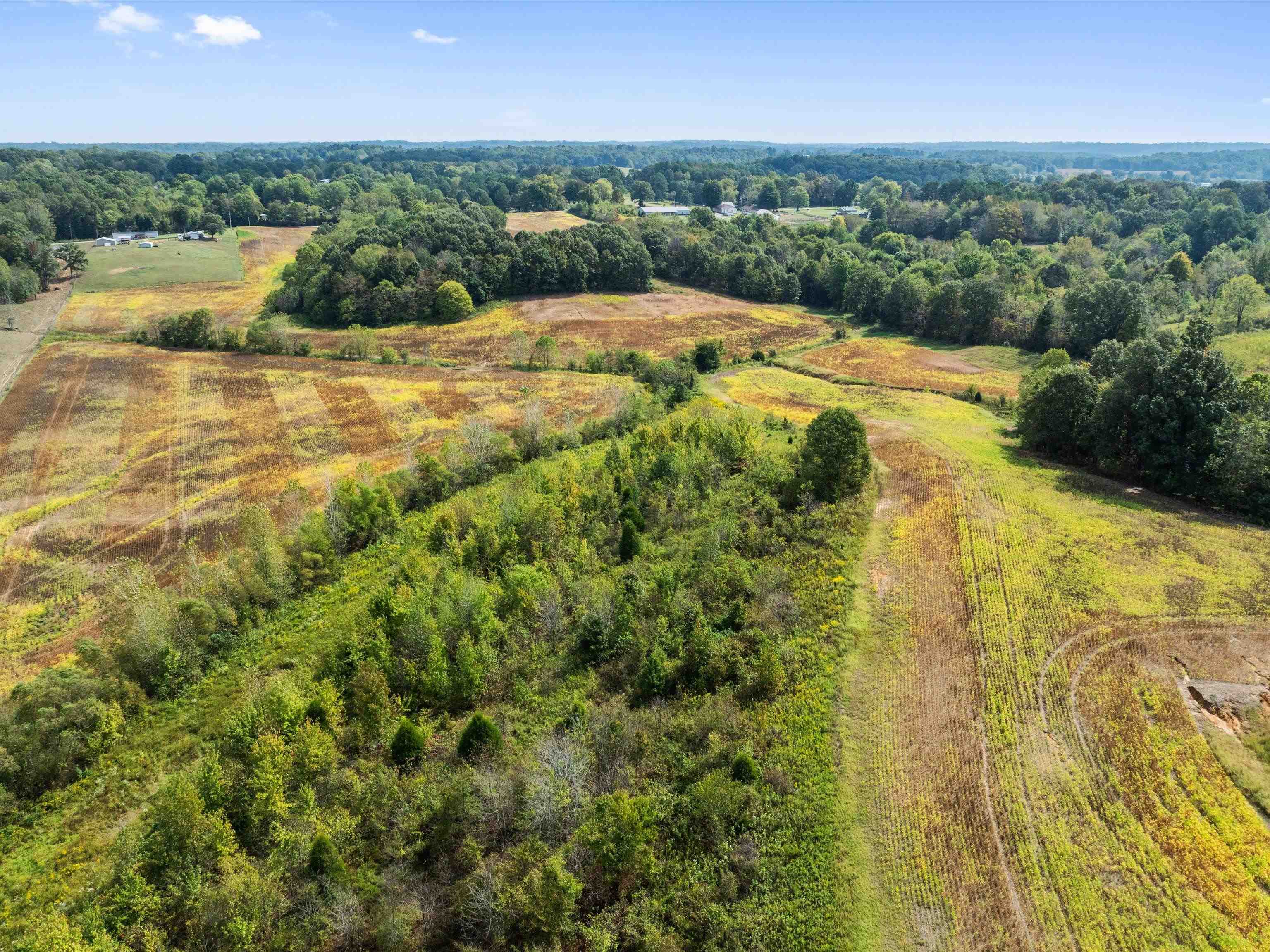 1295 Buford Road, Utica, Kentucky 42376, ,Farm,For Sale,Buford Road,93210