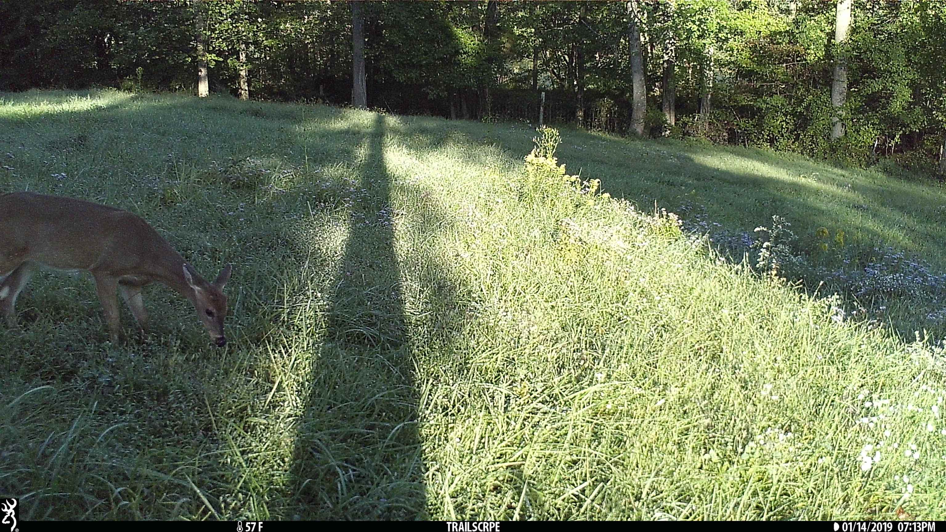 6130 State Rte 54 W, Whitesville, Kentucky 42378, 4 Bedrooms Bedrooms, ,3 BathroomsBathrooms,Single Family Residence,For Sale,State Rte 54 W,93313