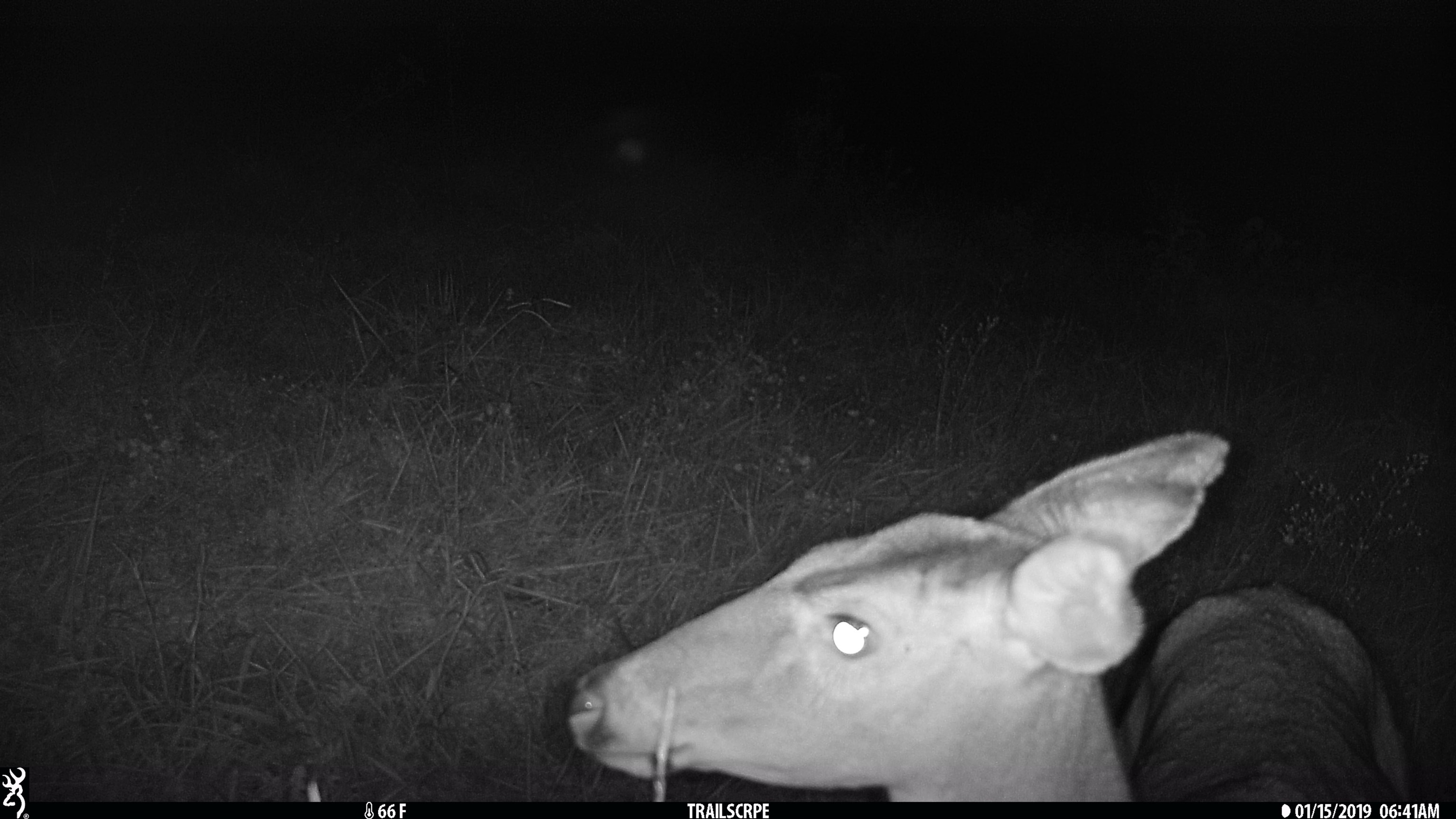 6130 State Rte 54 W, Whitesville, Kentucky 42378, 4 Bedrooms Bedrooms, ,3 BathroomsBathrooms,Single Family Residence,For Sale,State Rte 54 W,93313