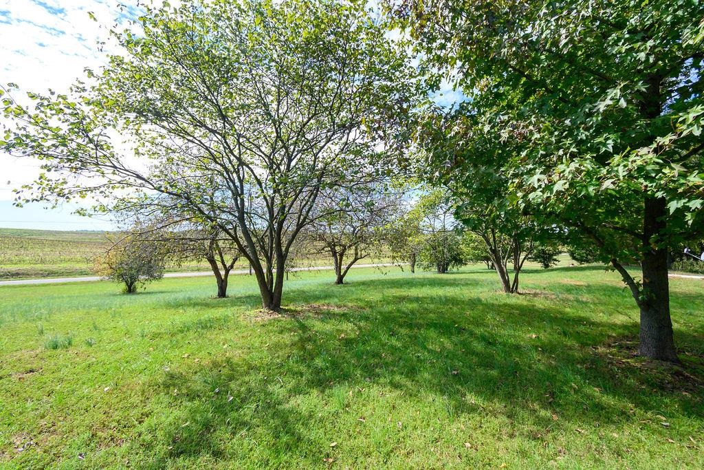 960 Bohannon Rd., Calhoun, Kentucky 42327, 2 Bedrooms Bedrooms, ,1 BathroomBathrooms,Single Family Residence,For Sale,Bohannon Rd.,93317