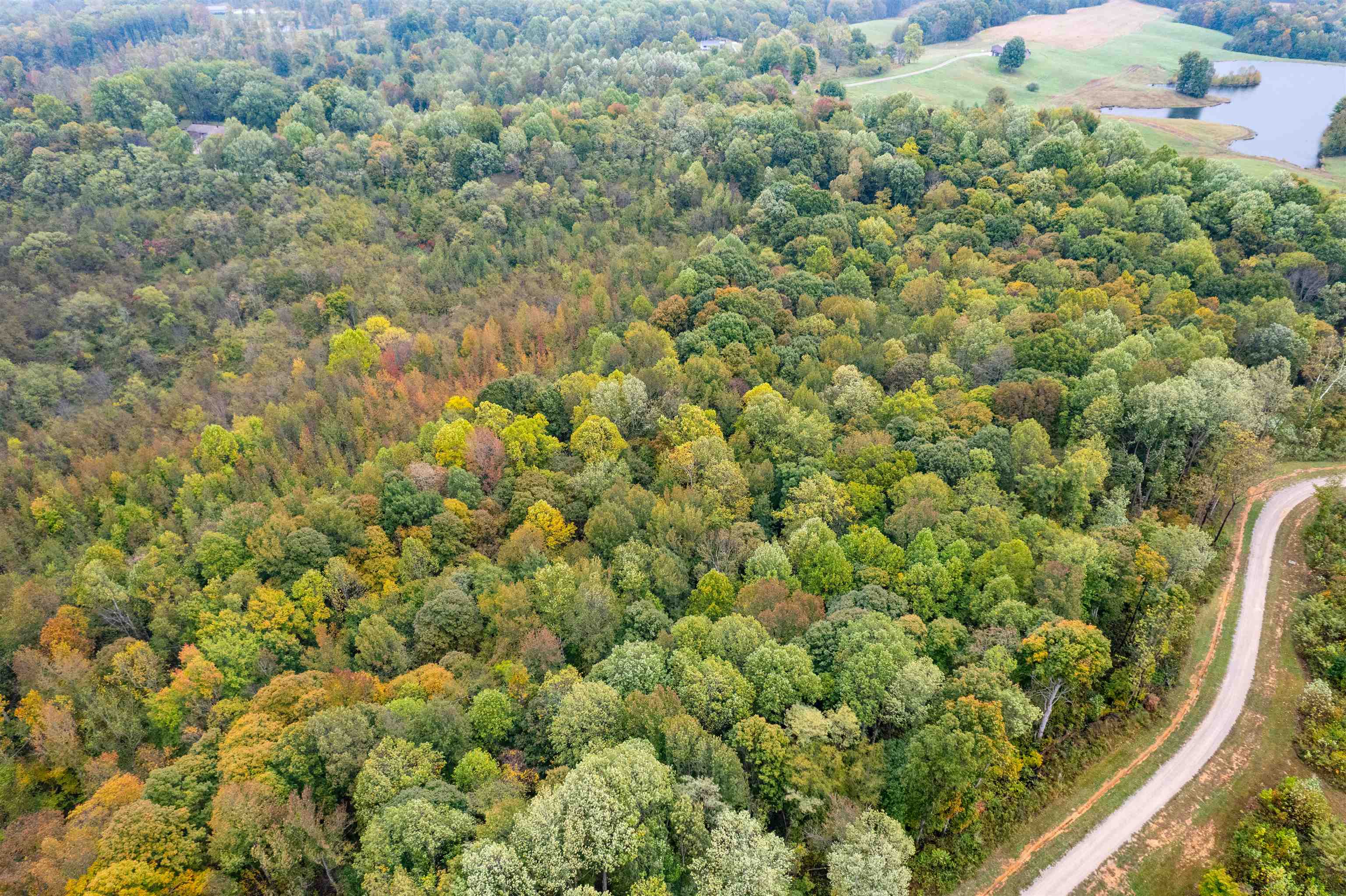 11581 KY-951, Hawesville, Kentucky 42348, ,Land,For Sale,KY-951,93362