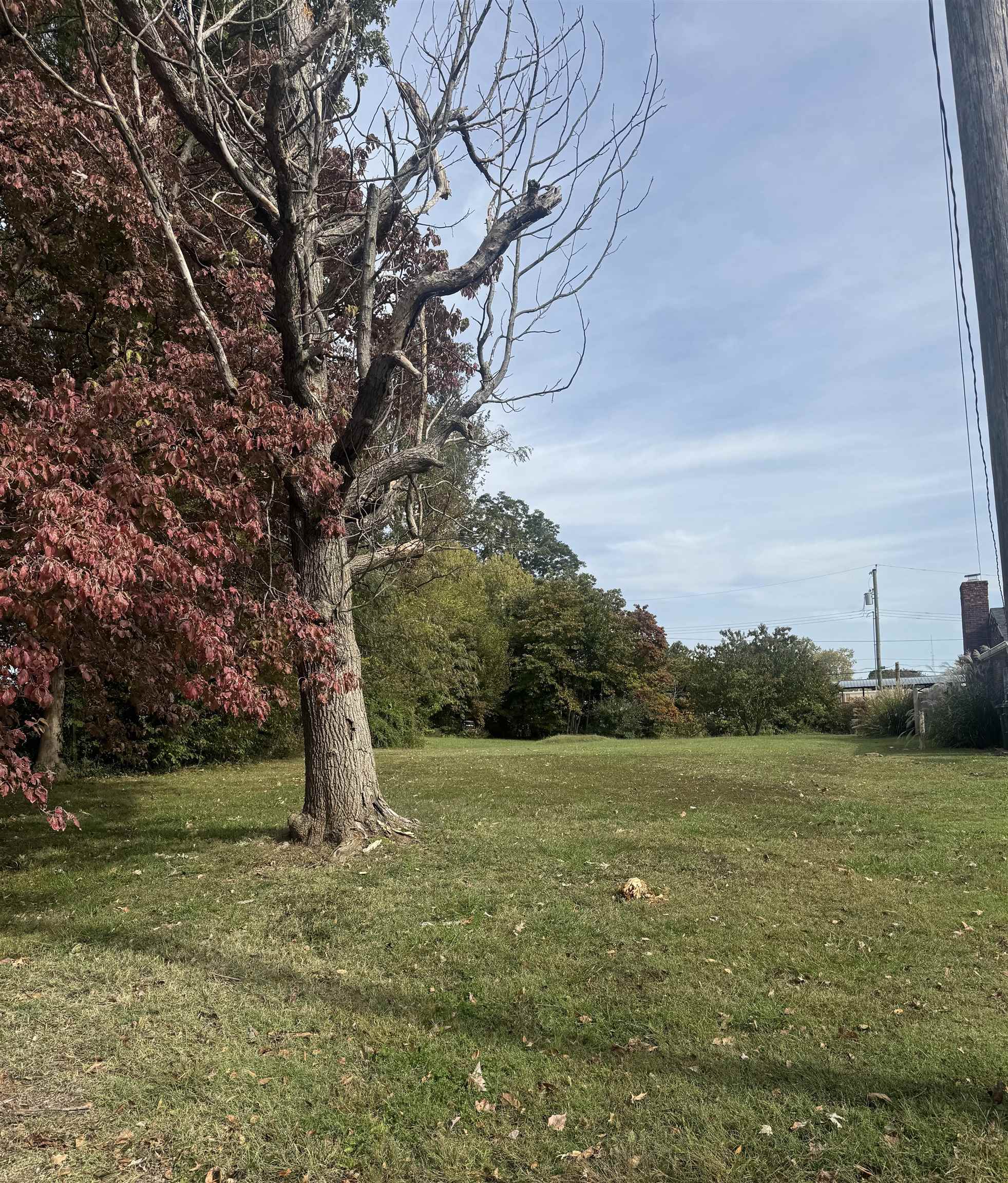 2521 Clarke Dr, Owensboro, Kentucky 42301-0000, ,Land,For Sale,Clarke Dr,93404