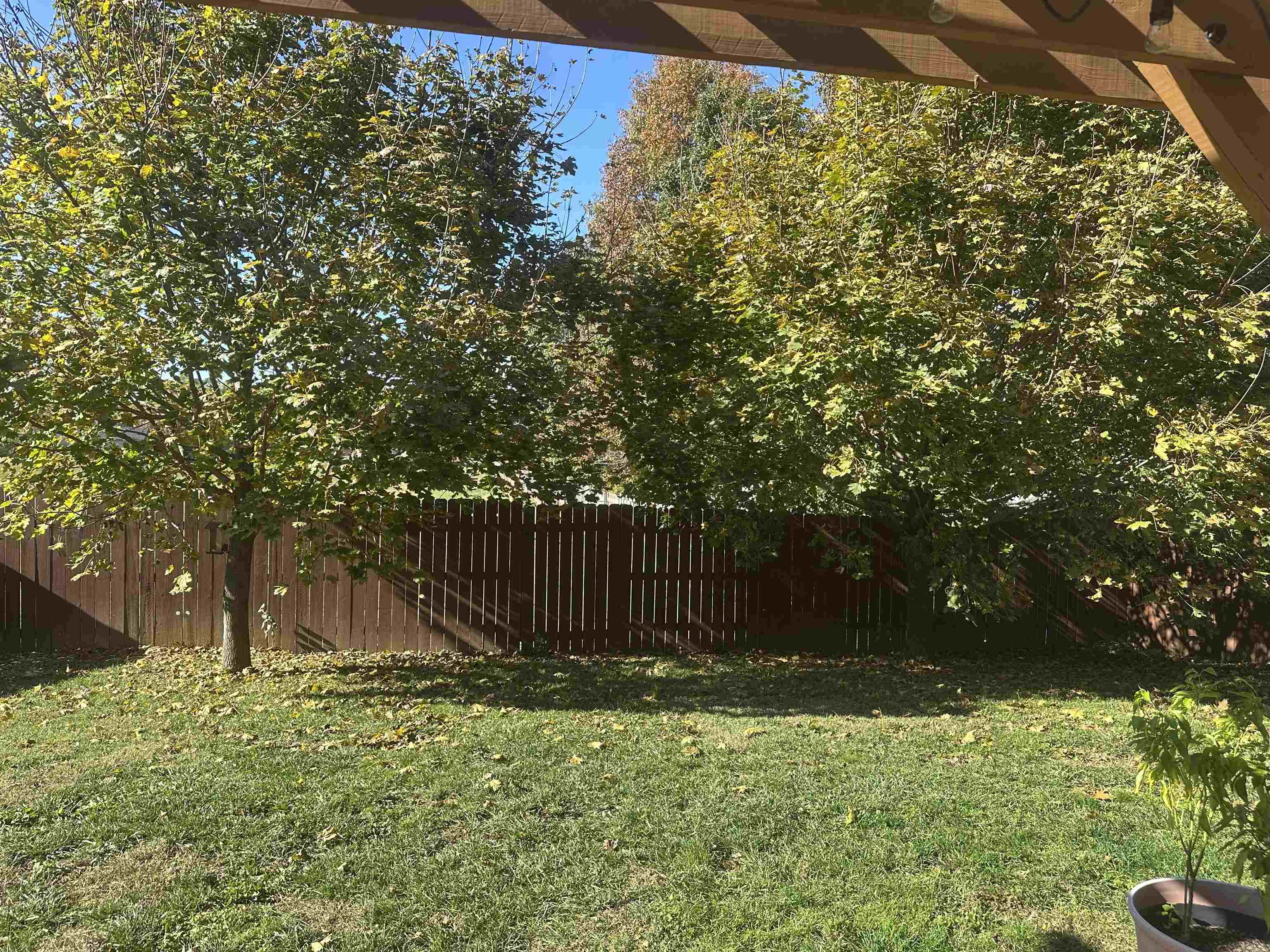 2165 Summer Walk, Owensboro, Kentucky 42303, 3 Bedrooms Bedrooms, ,2 BathroomsBathrooms,Single Family Residence,For Sale,Summer Walk,93463