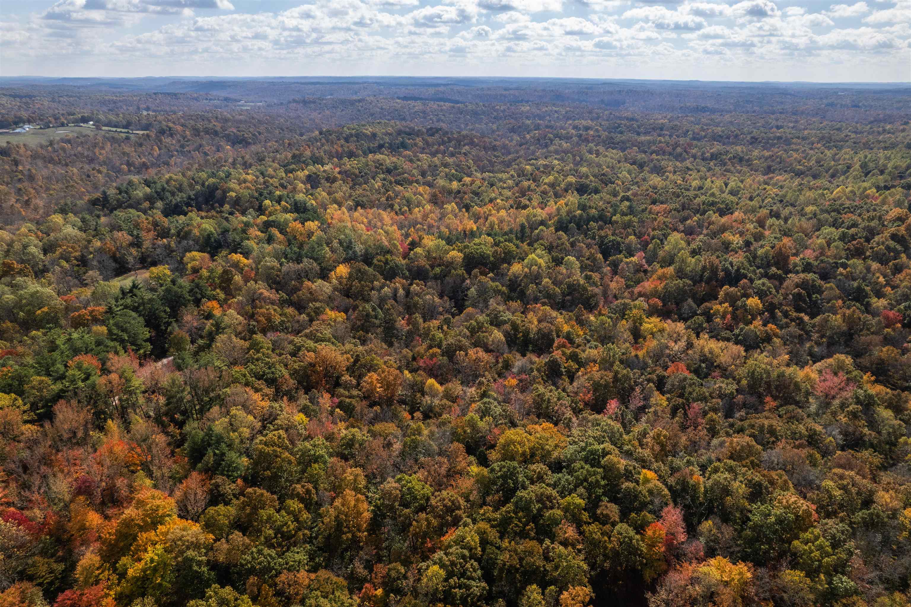 0 Askins Road, Fordsville, Kentucky 42343, ,Land,For Sale,Askins Road,93489