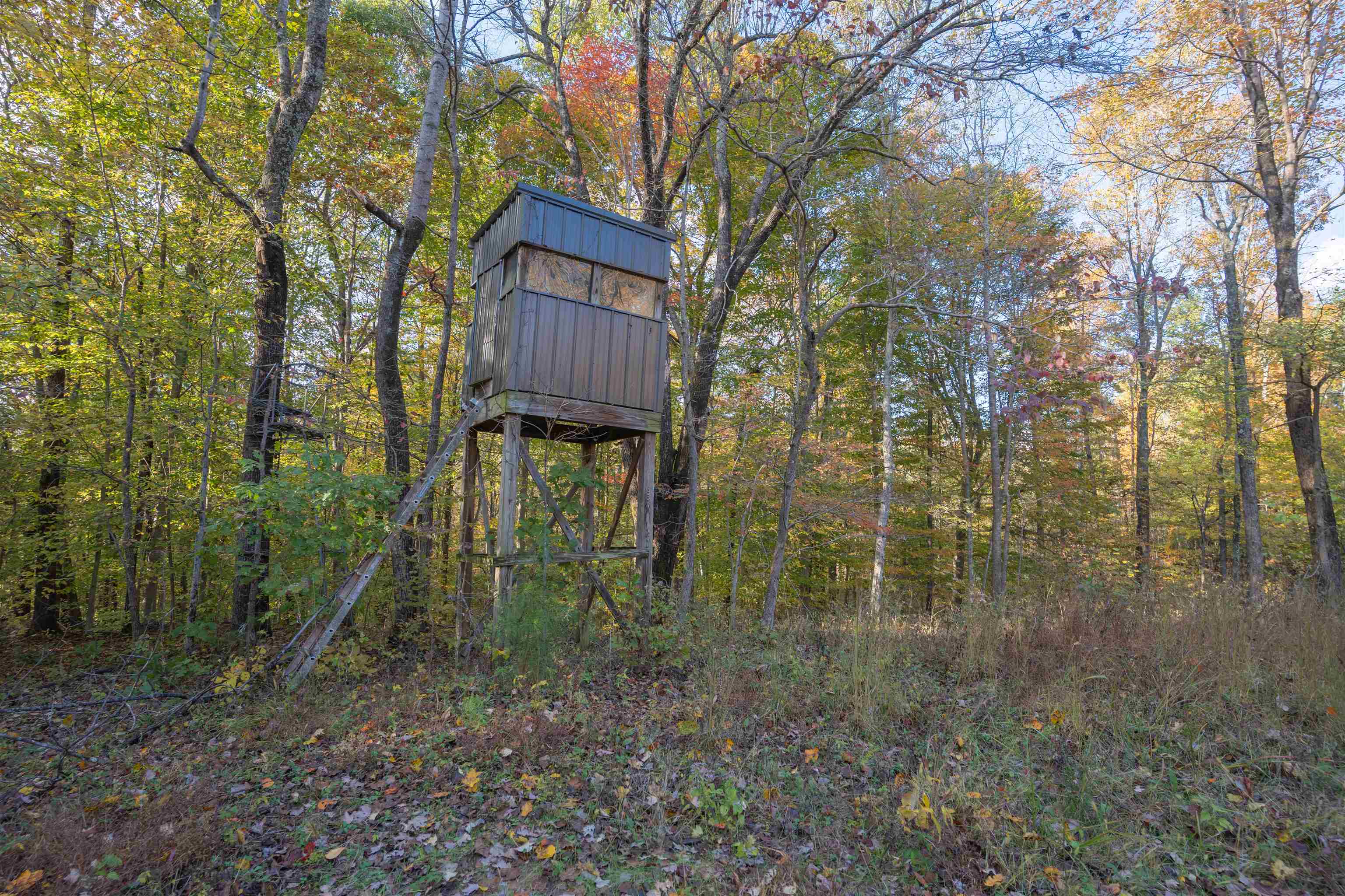 0 Askins Road, Fordsville, Kentucky 42343, ,Land,For Sale,Askins Road,93489