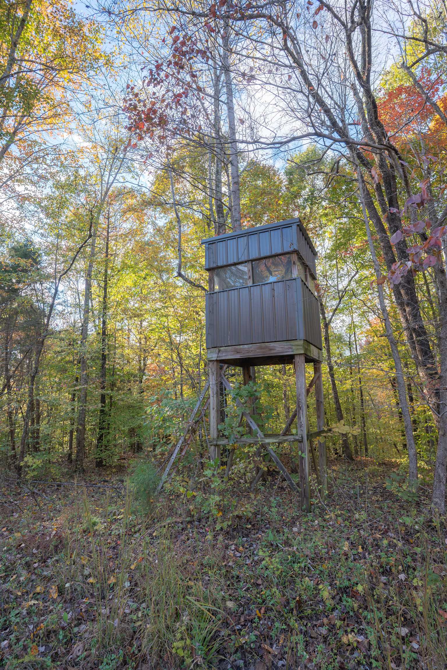 0 Askins Road, Fordsville, Kentucky 42343, ,Land,For Sale,Askins Road,93489