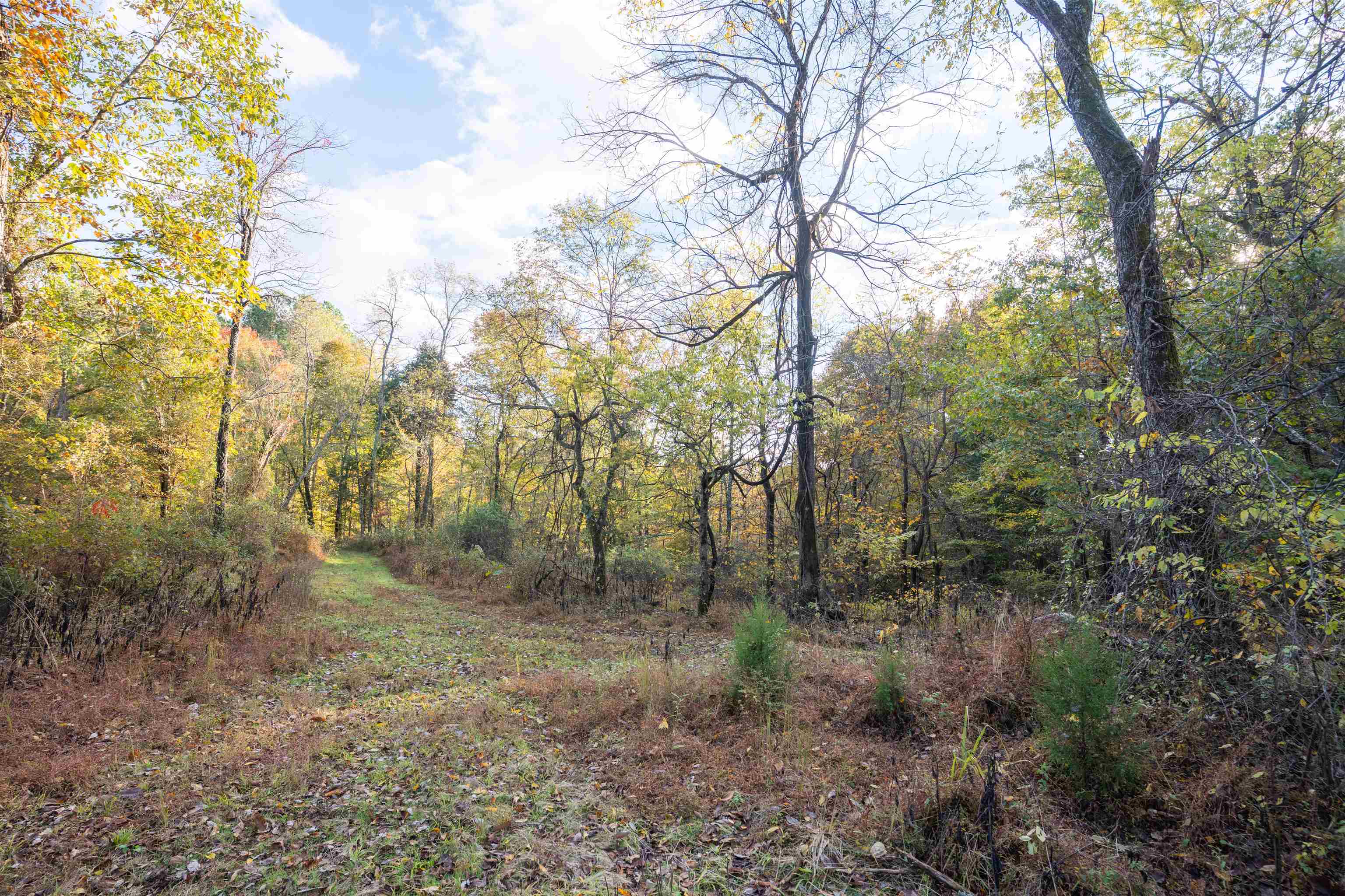 0 Askins Road, Fordsville, Kentucky 42343, ,Land,For Sale,Askins Road,93489