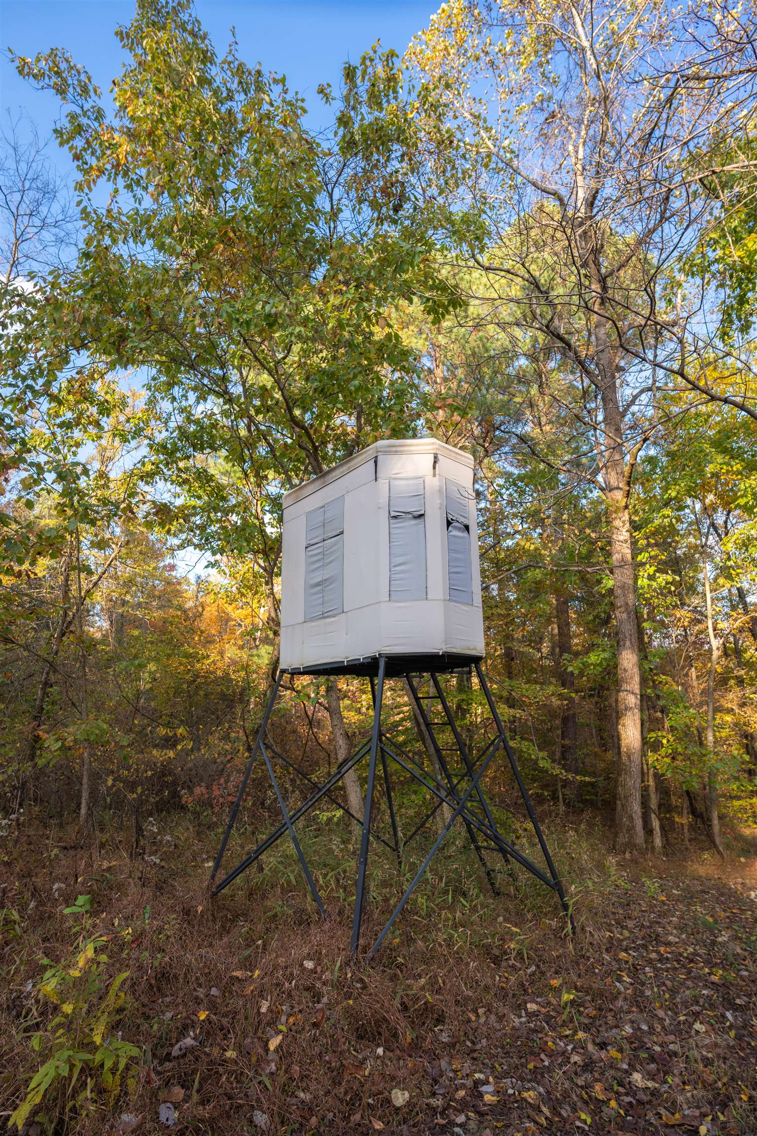 0 Askins Road, Fordsville, Kentucky 42343, ,Land,For Sale,Askins Road,93489