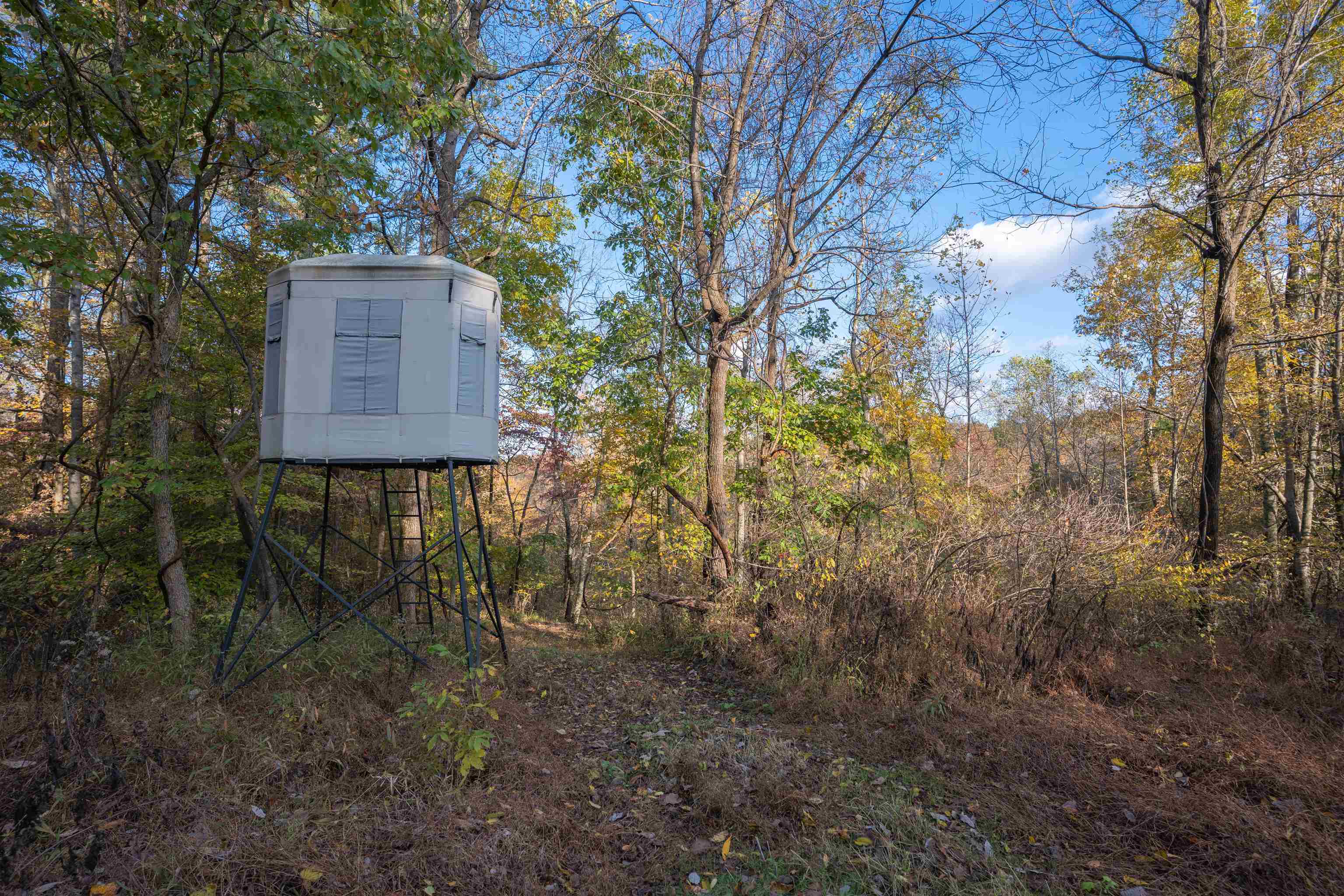 0 Askins Road, Fordsville, Kentucky 42343, ,Land,For Sale,Askins Road,93489