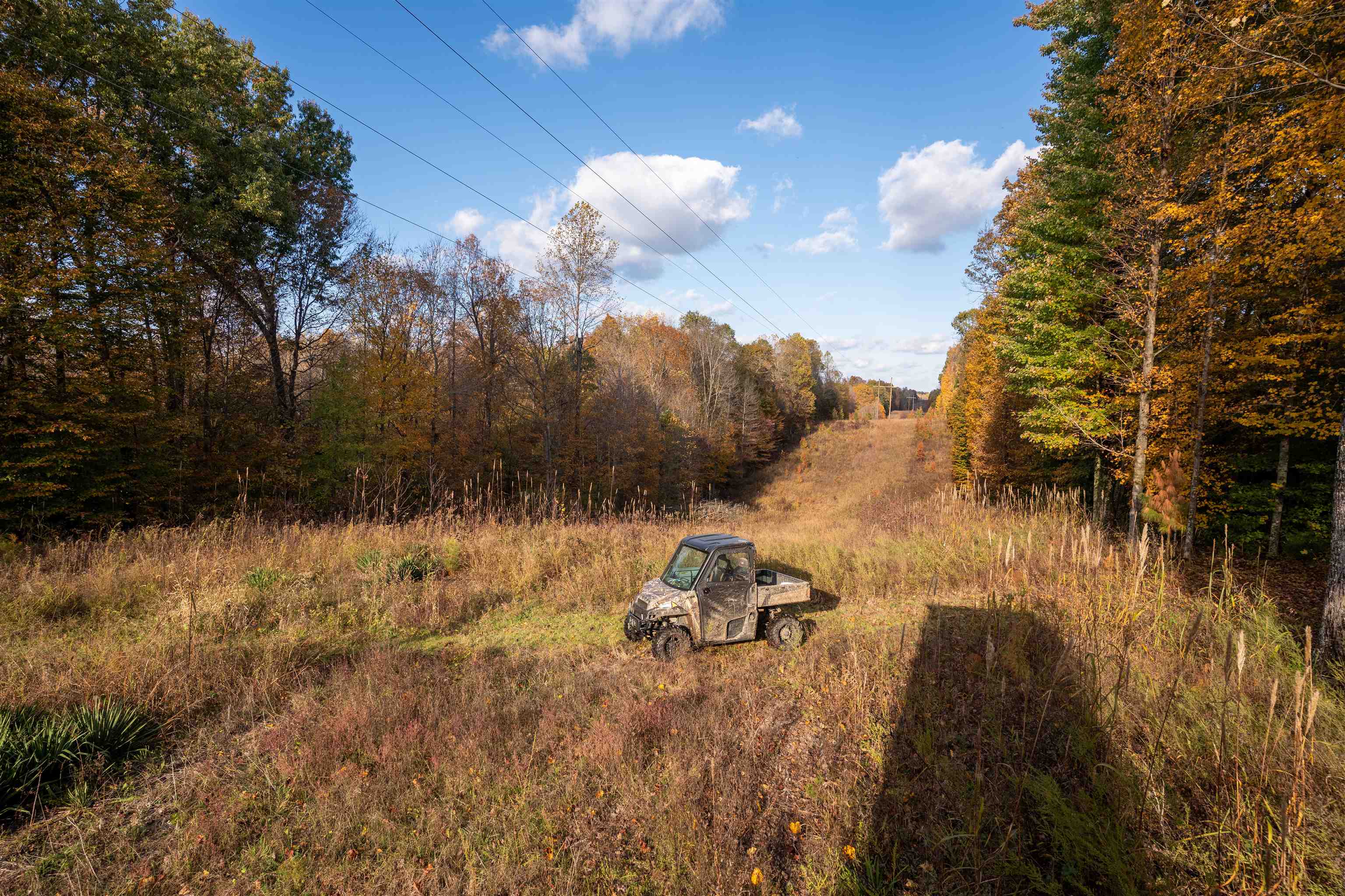 0 Askins Road, Fordsville, Kentucky 42343, ,Land,For Sale,Askins Road,93489