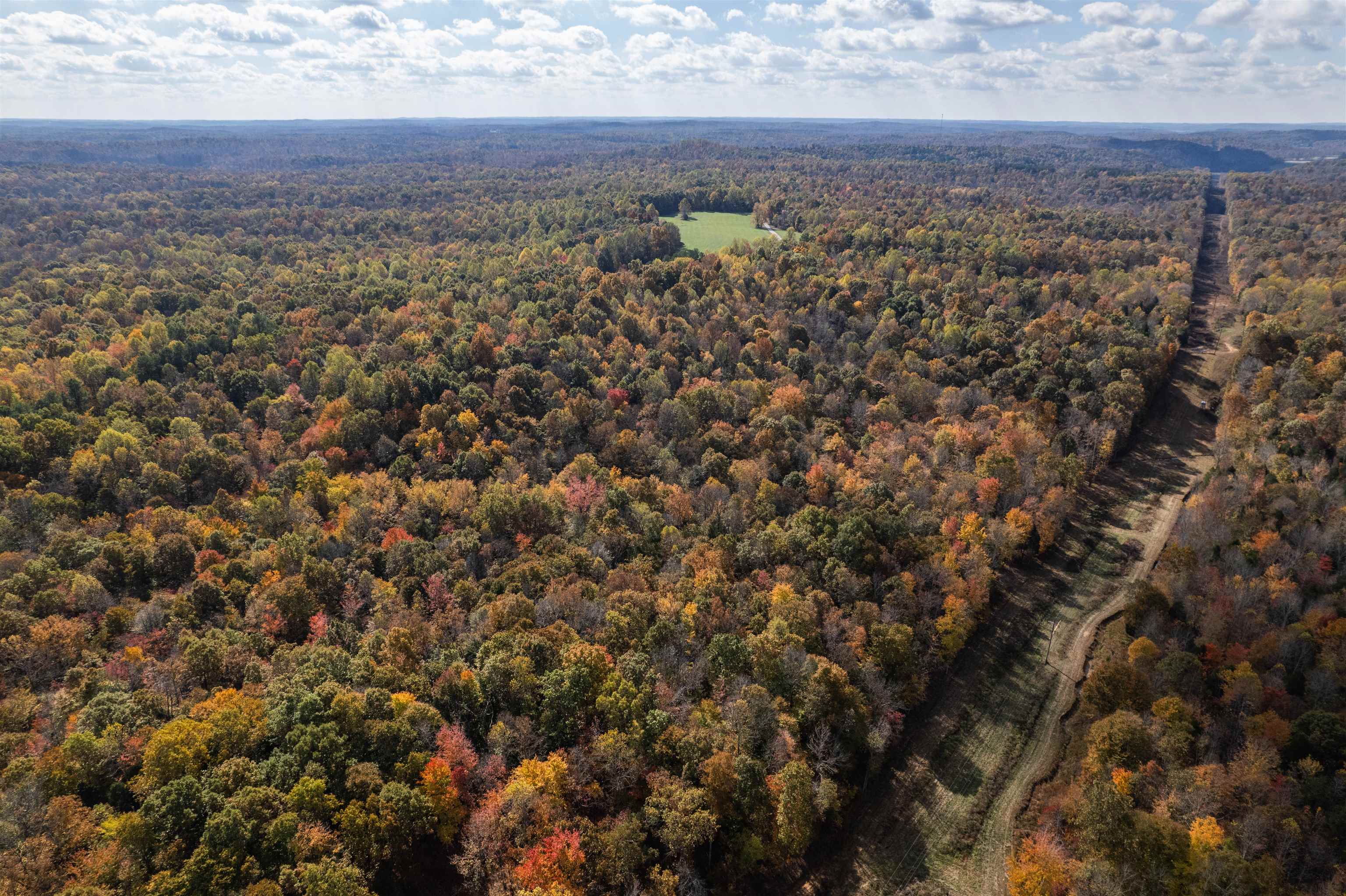 0 Askins Road, Fordsville, Kentucky 42343, ,Land,For Sale,Askins Road,93489