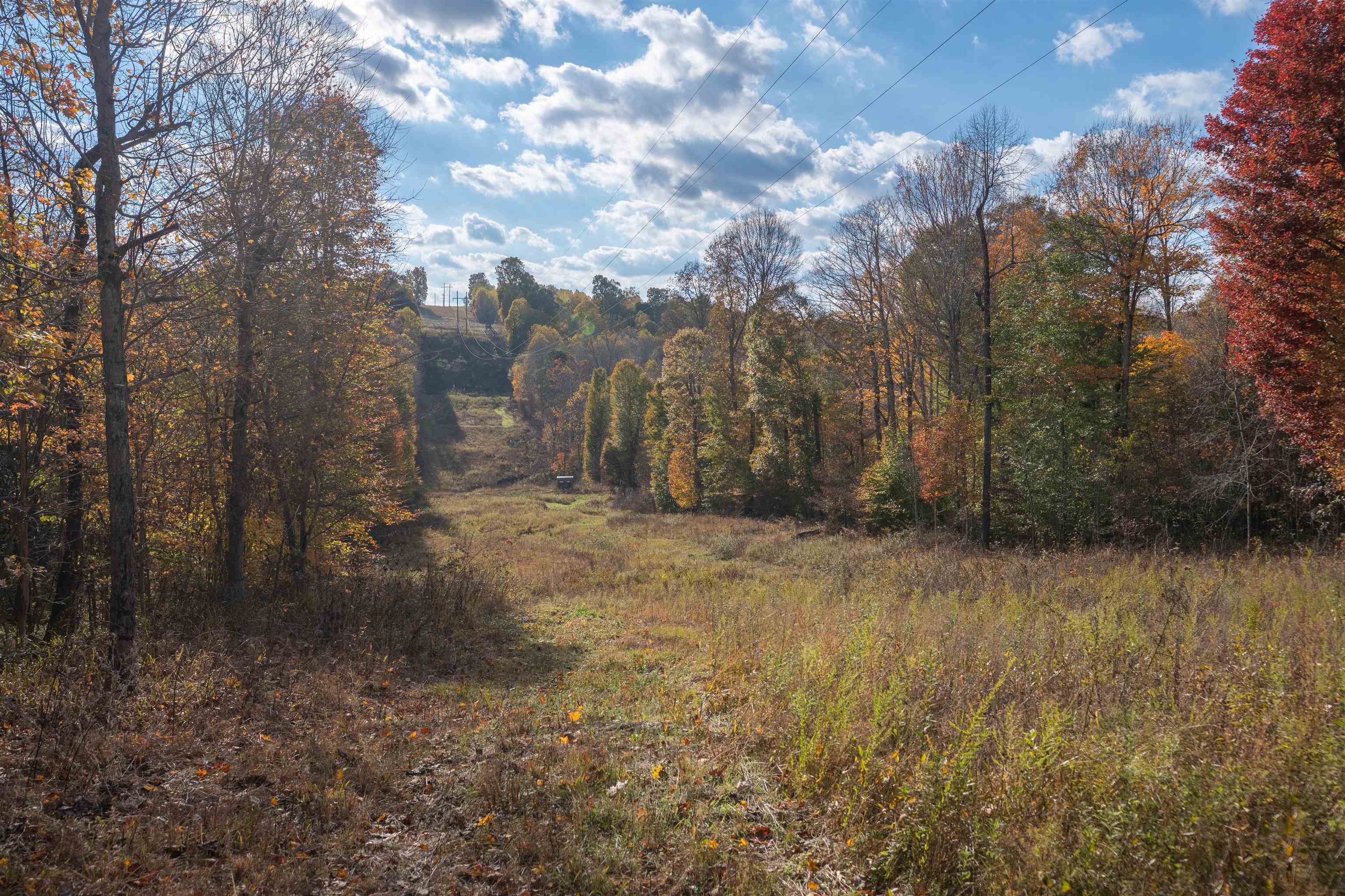 0 Askins Road, Fordsville, Kentucky 42343, ,Land,For Sale,Askins Road,93489