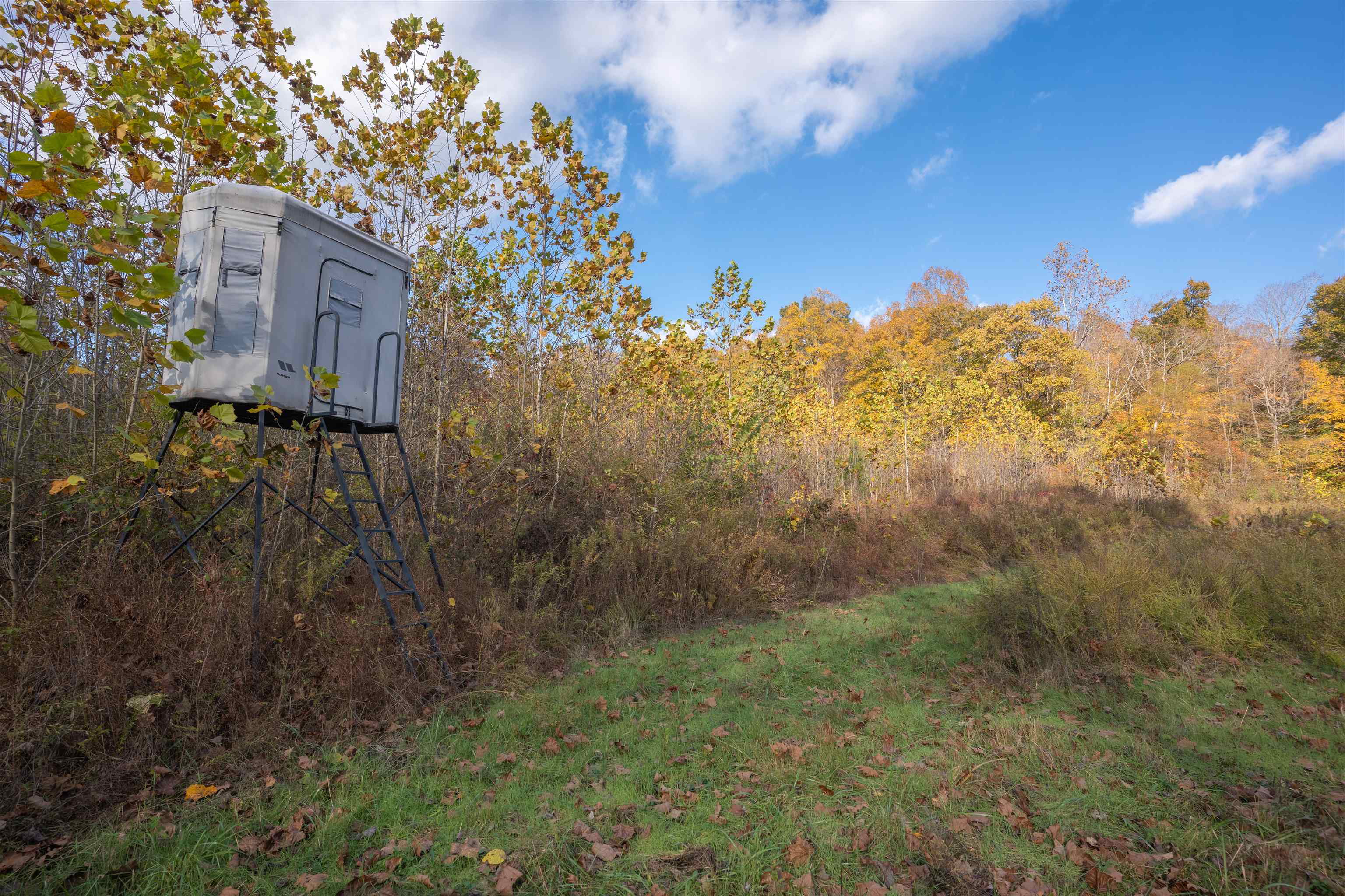 0 Askins Road, Fordsville, Kentucky 42343, ,Land,For Sale,Askins Road,93489