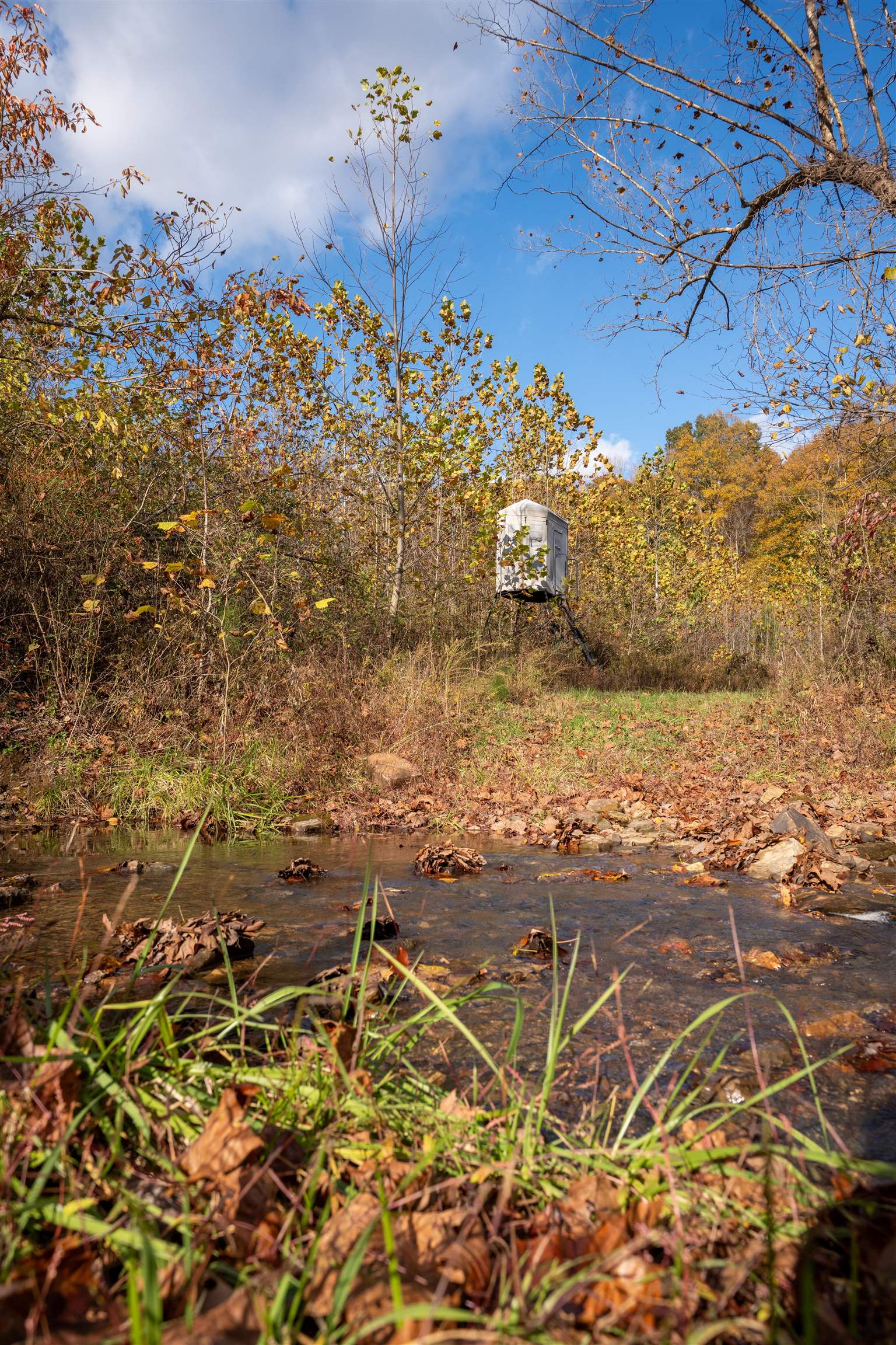 0 Askins Road, Fordsville, Kentucky 42343, ,Land,For Sale,Askins Road,93489