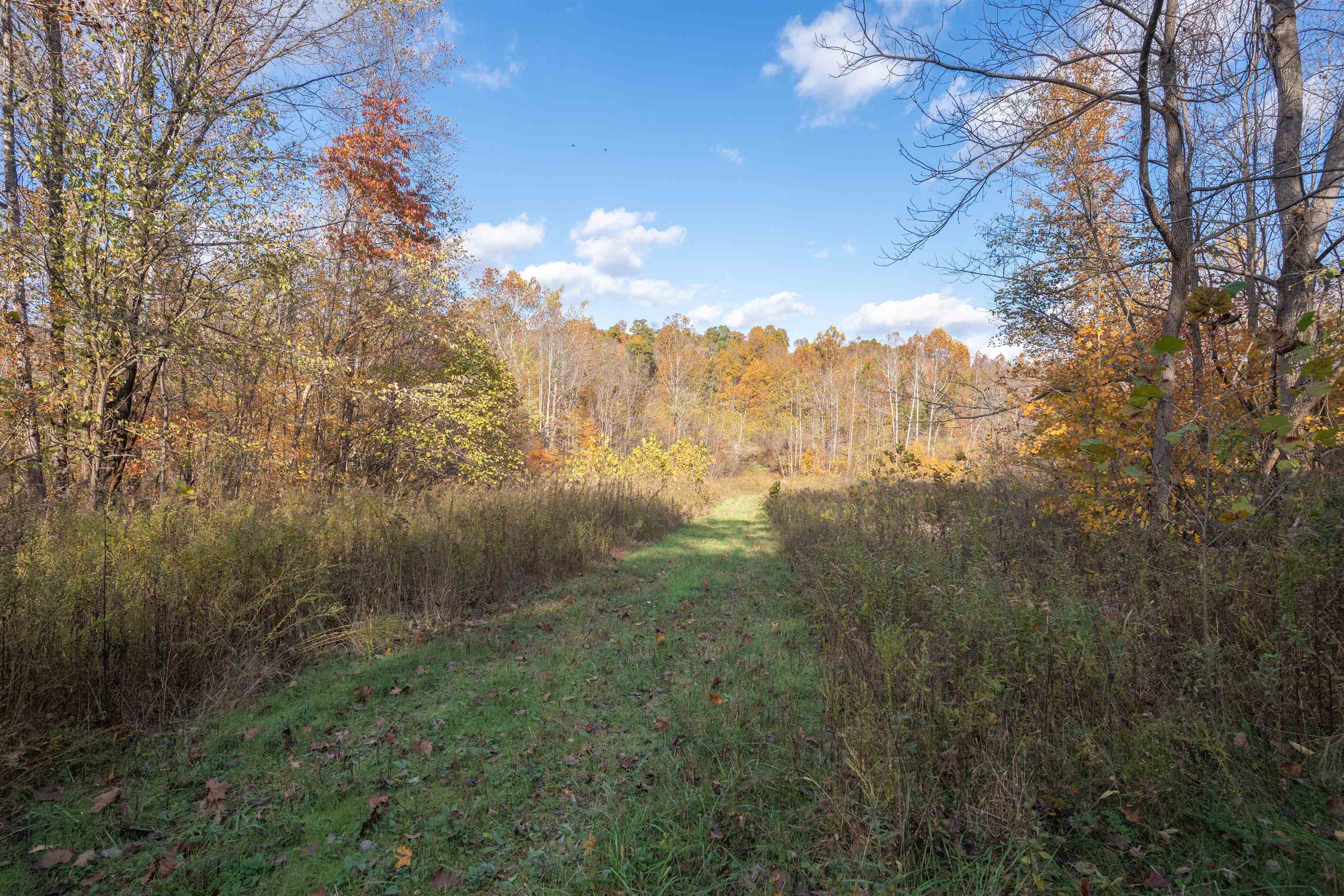0 Askins Road, Fordsville, Kentucky 42343, ,Land,For Sale,Askins Road,93489