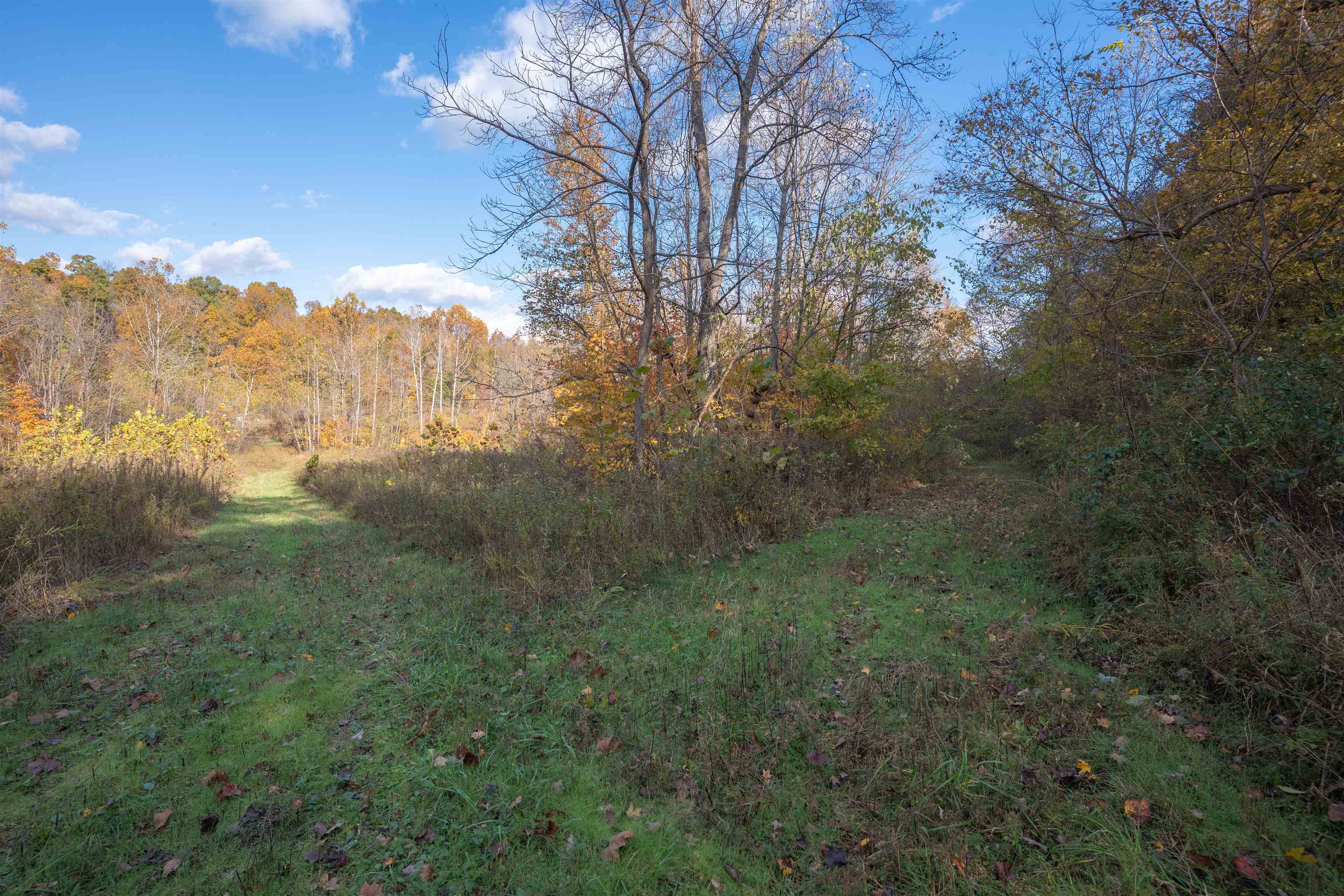 0 Askins Road, Fordsville, Kentucky 42343, ,Land,For Sale,Askins Road,93489