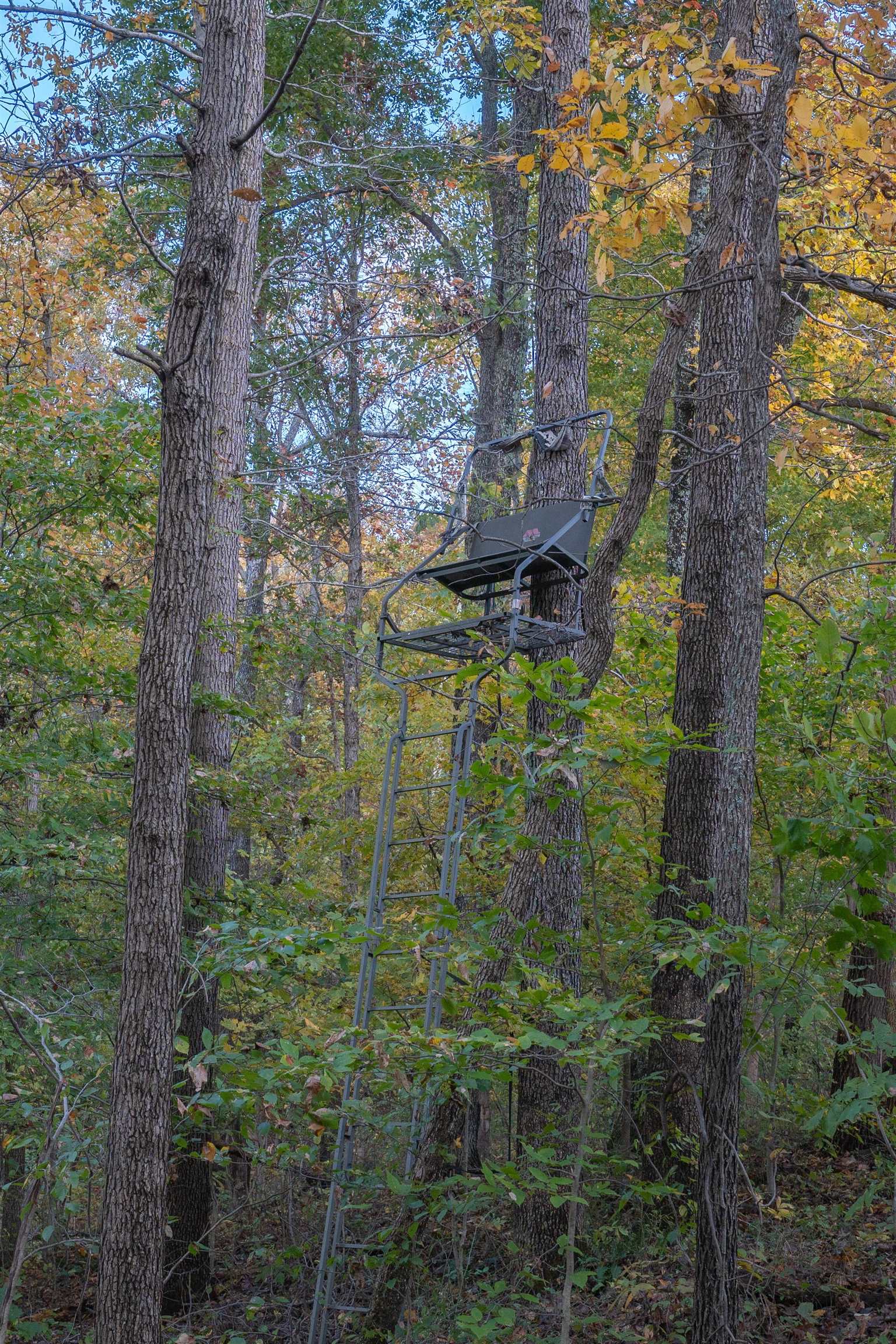 0 Askins Road, Fordsville, Kentucky 42343, ,Land,For Sale,Askins Road,93489