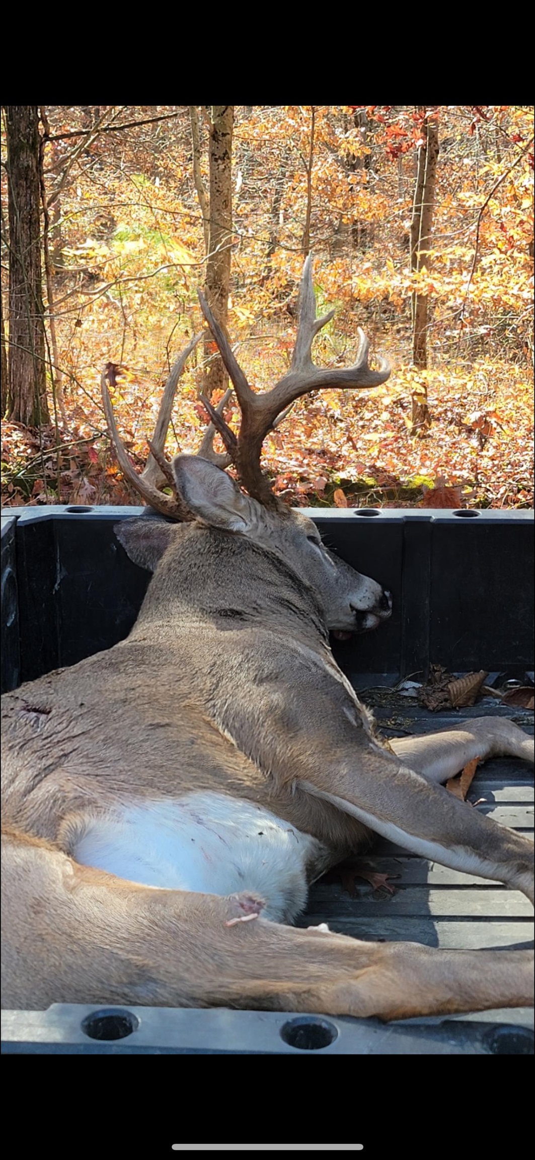 0 Askins Road, Fordsville, Kentucky 42343, ,Land,For Sale,Askins Road,93489