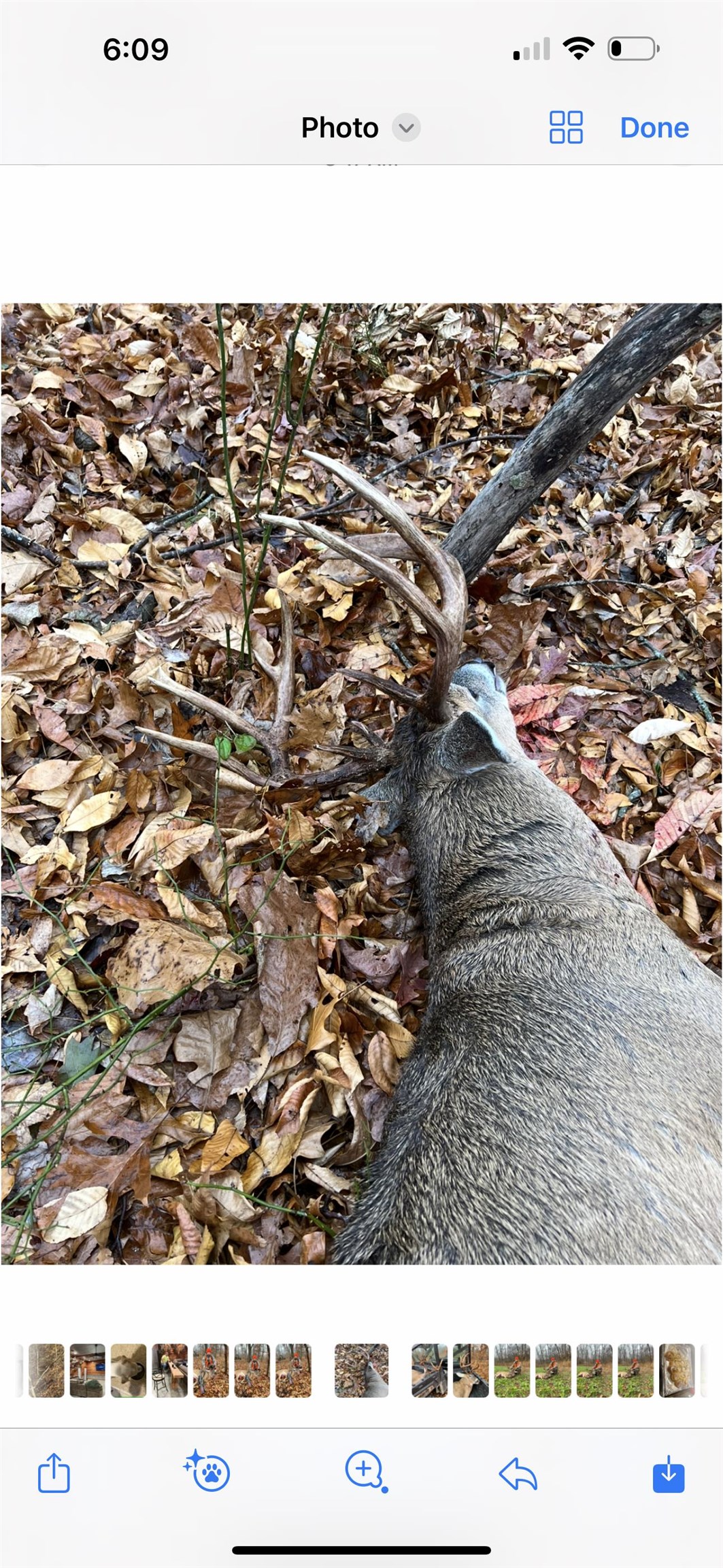 0 Askins Road, Fordsville, Kentucky 42343, ,Land,For Sale,Askins Road,93489