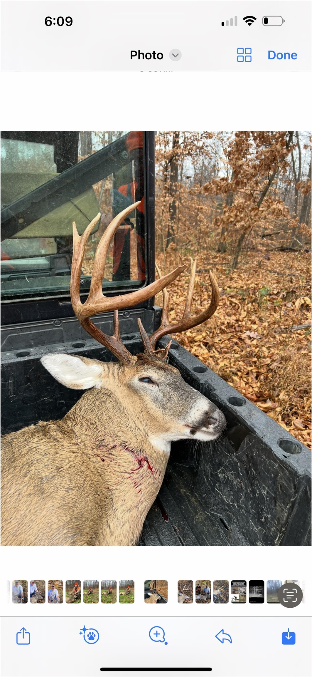 0 Askins Road, Fordsville, Kentucky 42343, ,Land,For Sale,Askins Road,93489