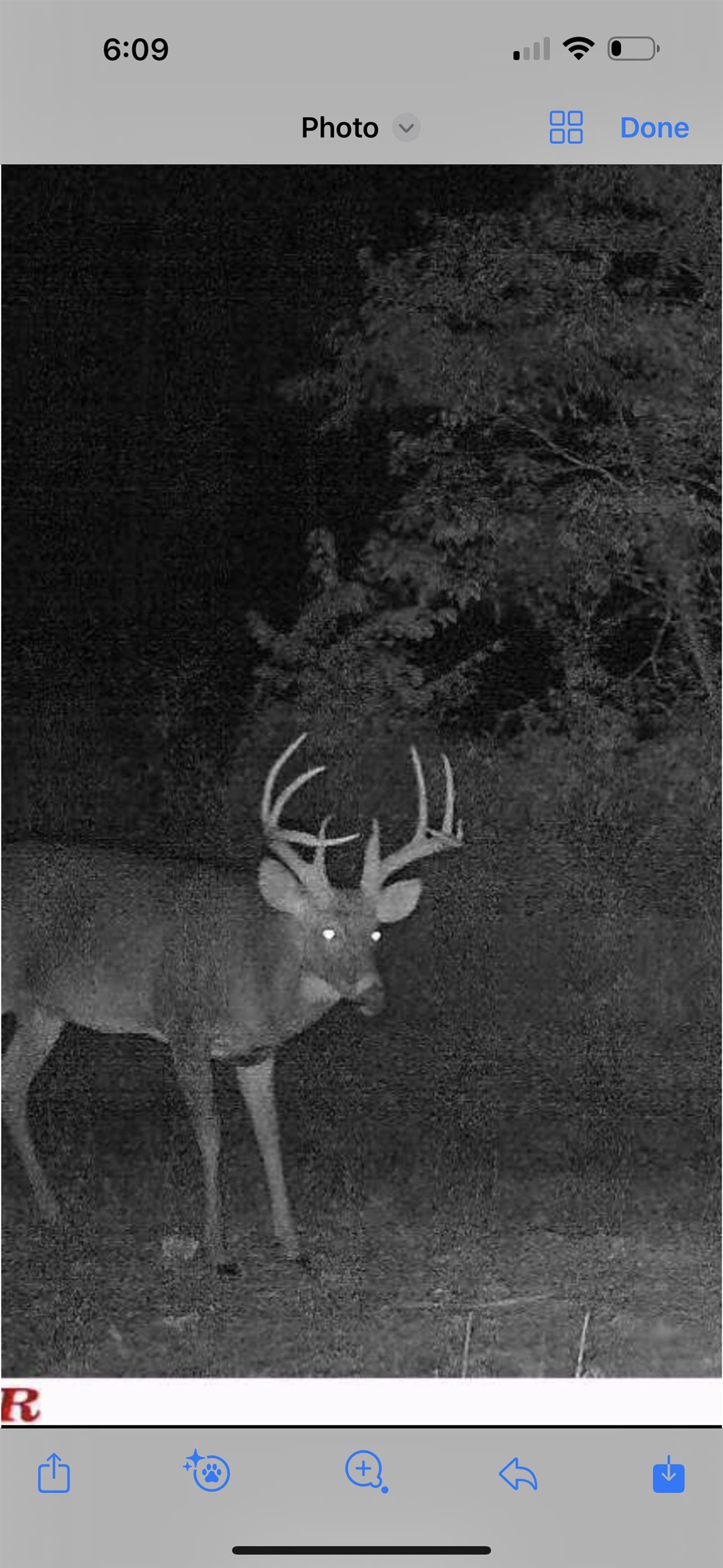 0 Askins Road, Fordsville, Kentucky 42343, ,Land,For Sale,Askins Road,93489