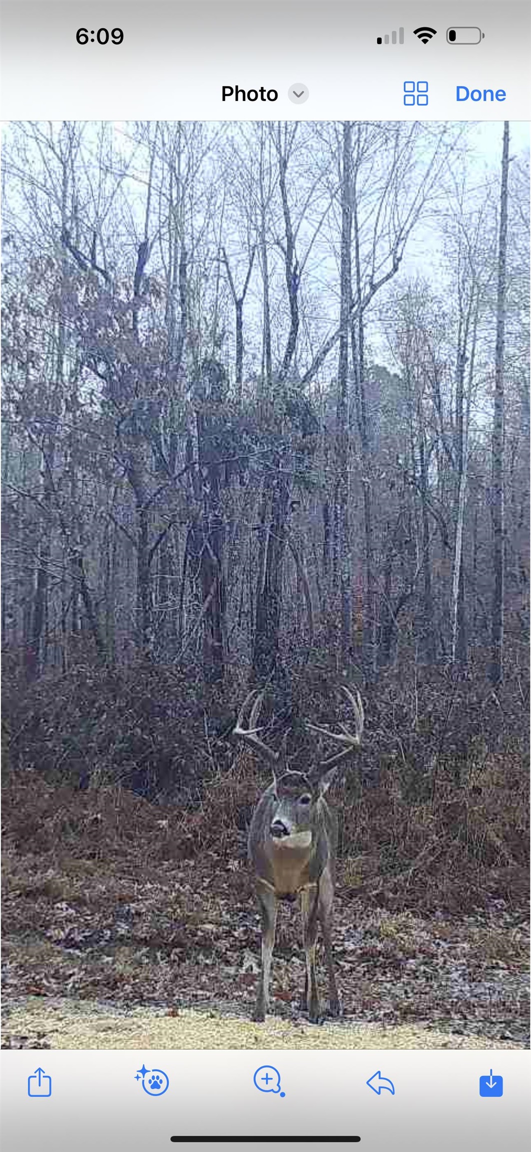 0 Askins Road, Fordsville, Kentucky 42343, ,Land,For Sale,Askins Road,93489