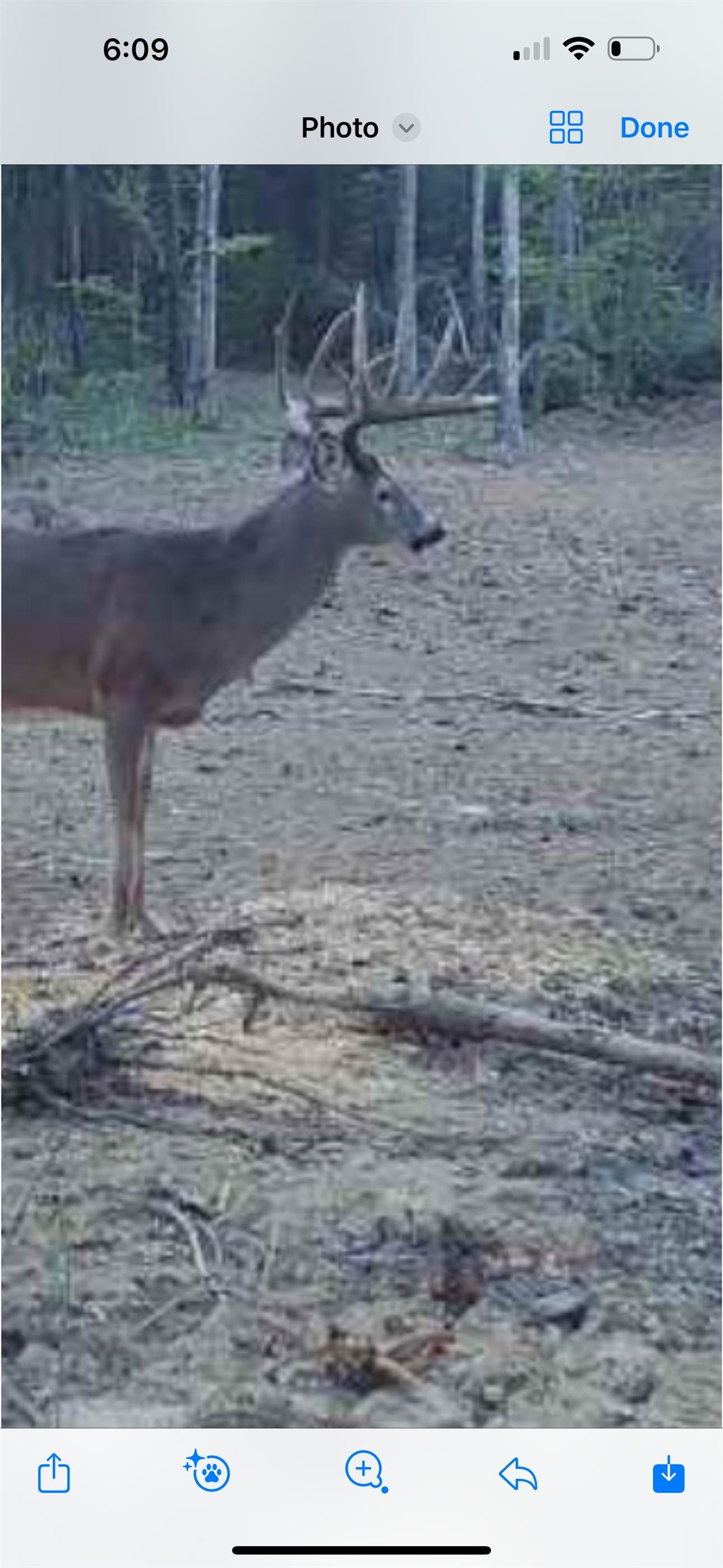 0 Askins Road, Fordsville, Kentucky 42343, ,Land,For Sale,Askins Road,93489