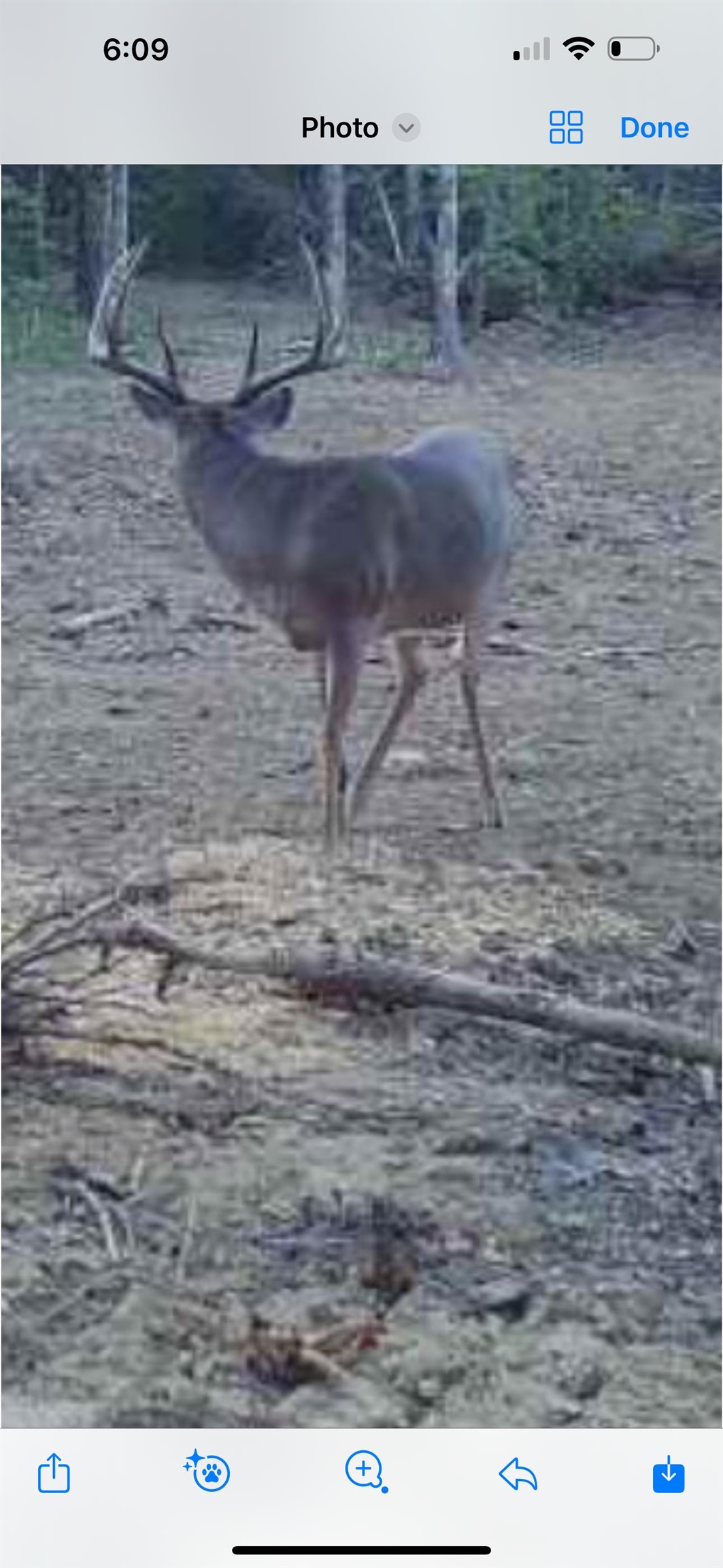 0 Askins Road, Fordsville, Kentucky 42343, ,Land,For Sale,Askins Road,93489