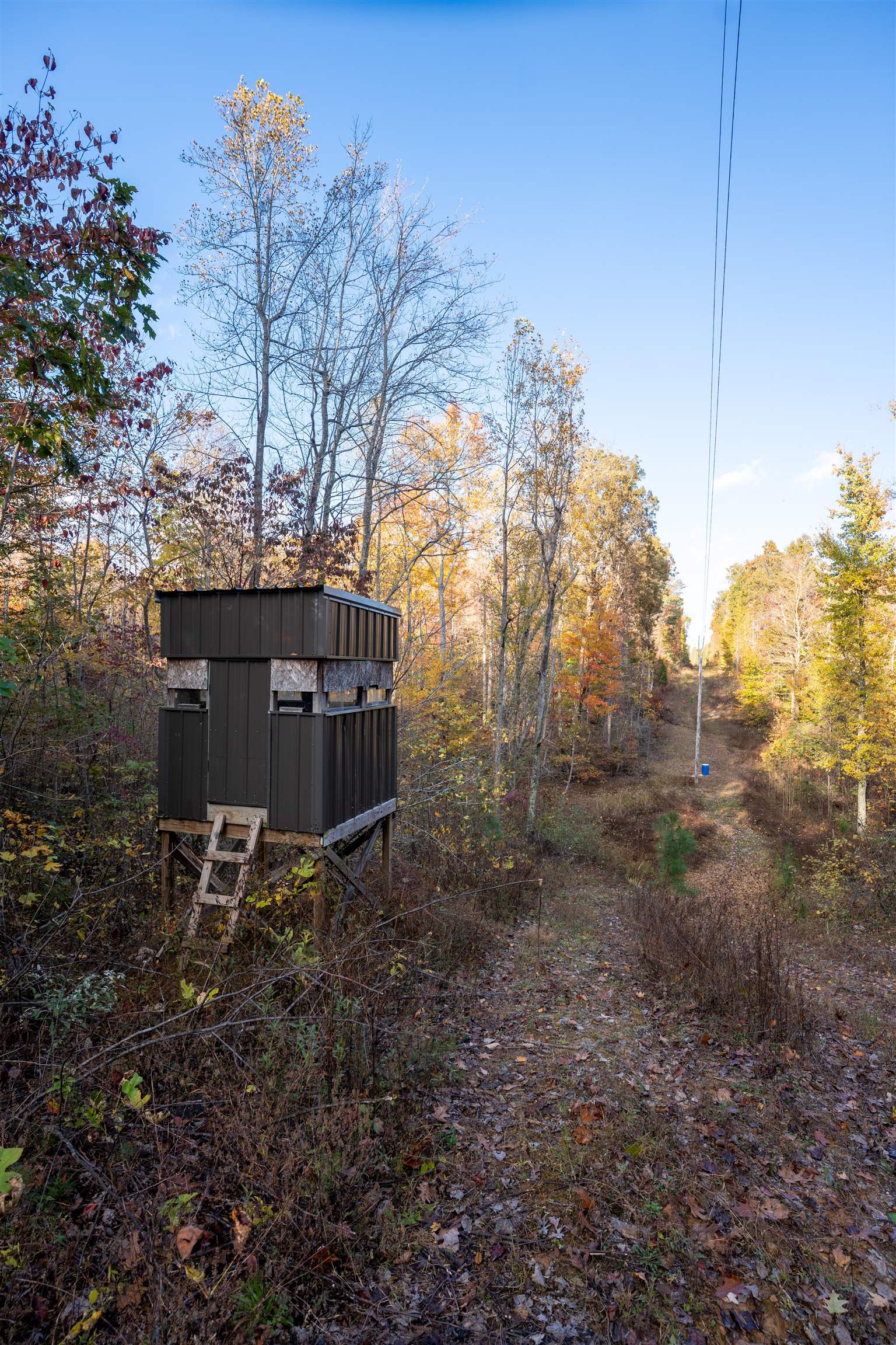 0 Askins Road, Fordsville, Kentucky 42343, ,Land,For Sale,Askins Road,93489