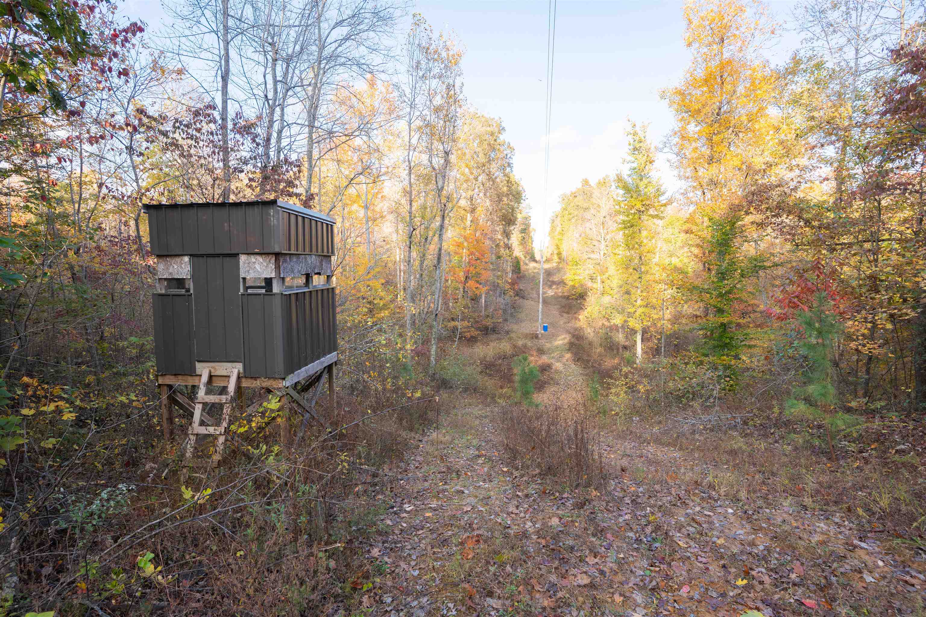 0 Askins Road, Fordsville, Kentucky 42343, ,Land,For Sale,Askins Road,93489