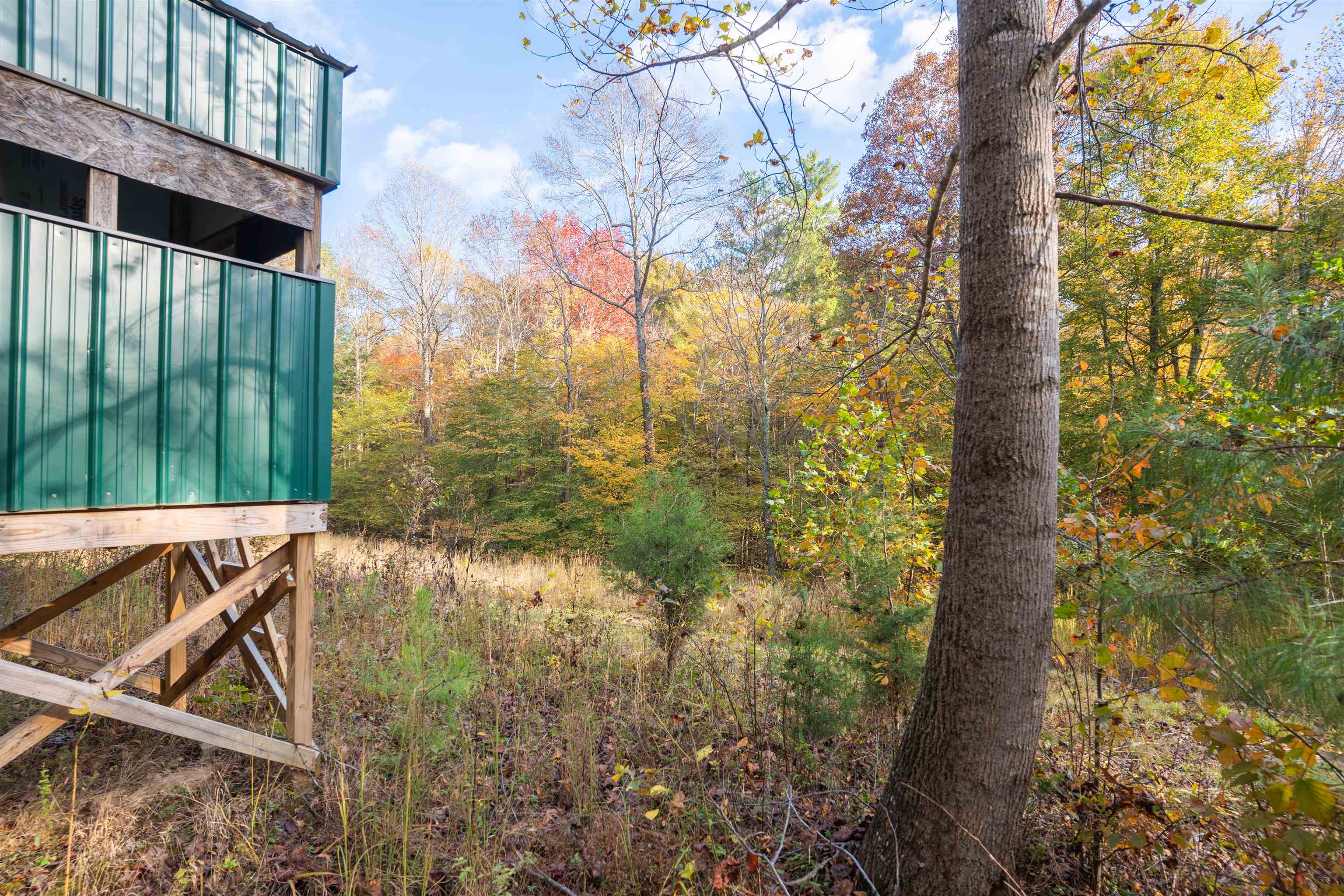 0 Askins Road, Fordsville, Kentucky 42343, ,Land,For Sale,Askins Road,93489