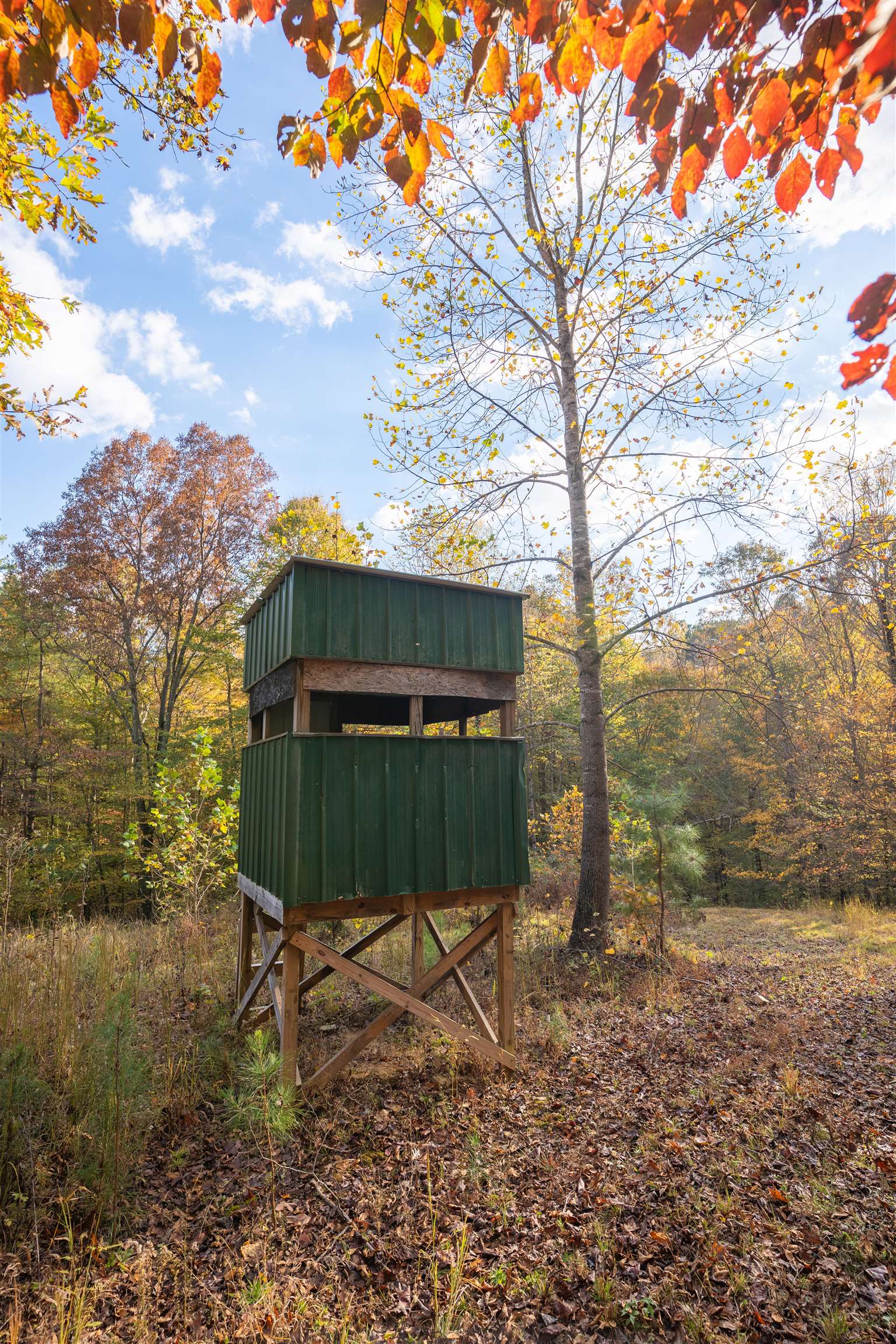 0 Askins Road, Fordsville, Kentucky 42343, ,Land,For Sale,Askins Road,93489