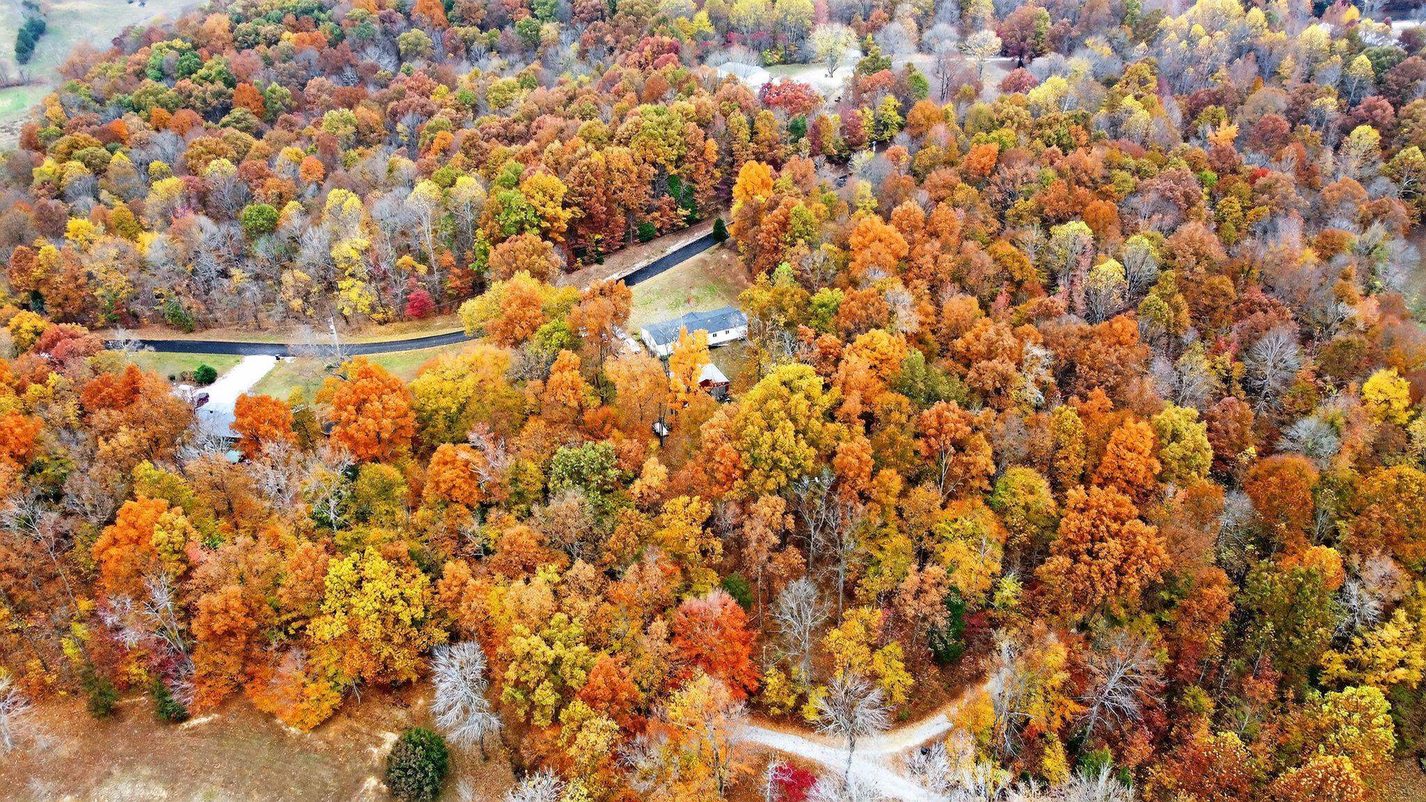 2100 Fred Morris Road, Reynolds Station, Kentucky 42368, 4 Bedrooms Bedrooms, ,2 BathroomsBathrooms,Single Family Residence,For Sale,Fred Morris Road,93524