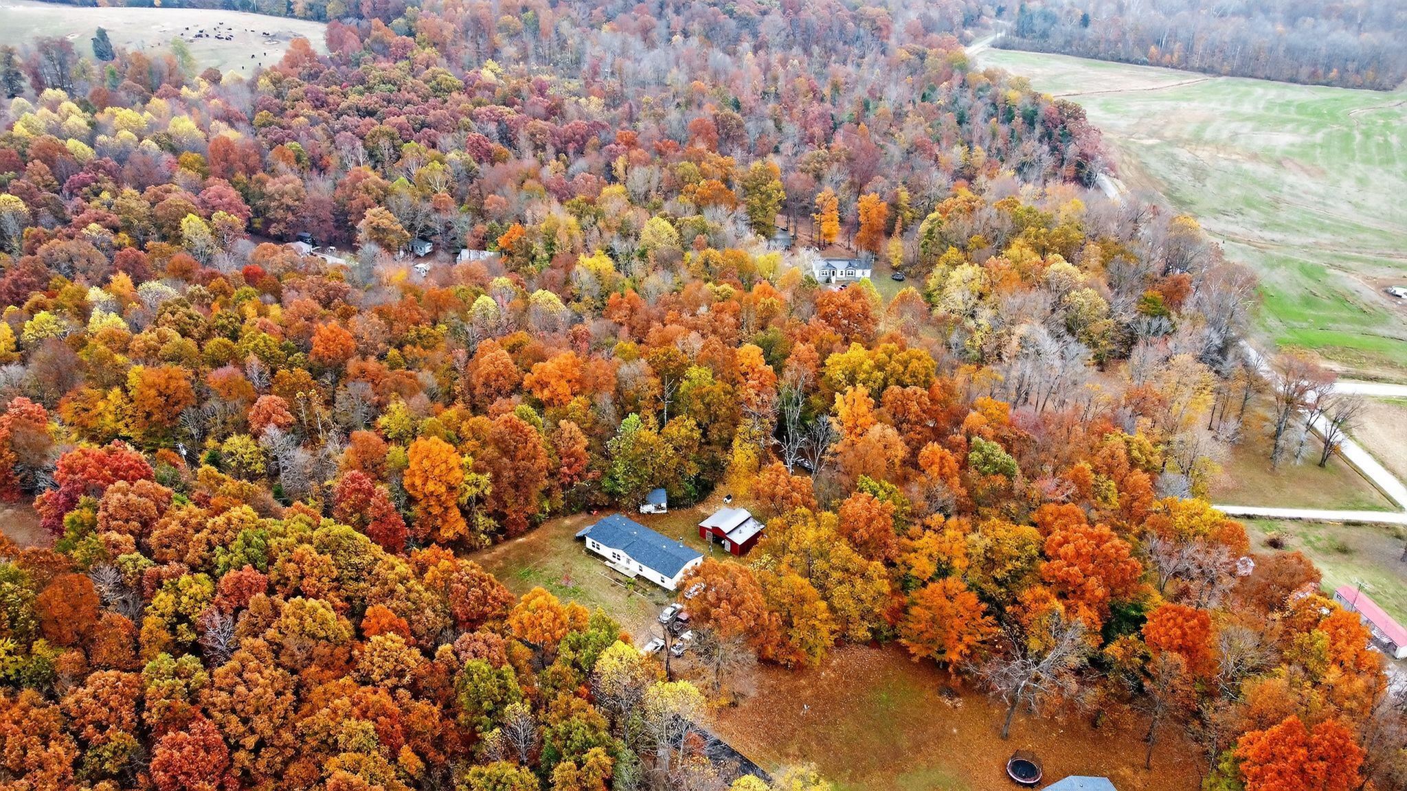 2100 Fred Morris Road, Reynolds Station, Kentucky 42368, 4 Bedrooms Bedrooms, ,2 BathroomsBathrooms,Single Family Residence,For Sale,Fred Morris Road,93524