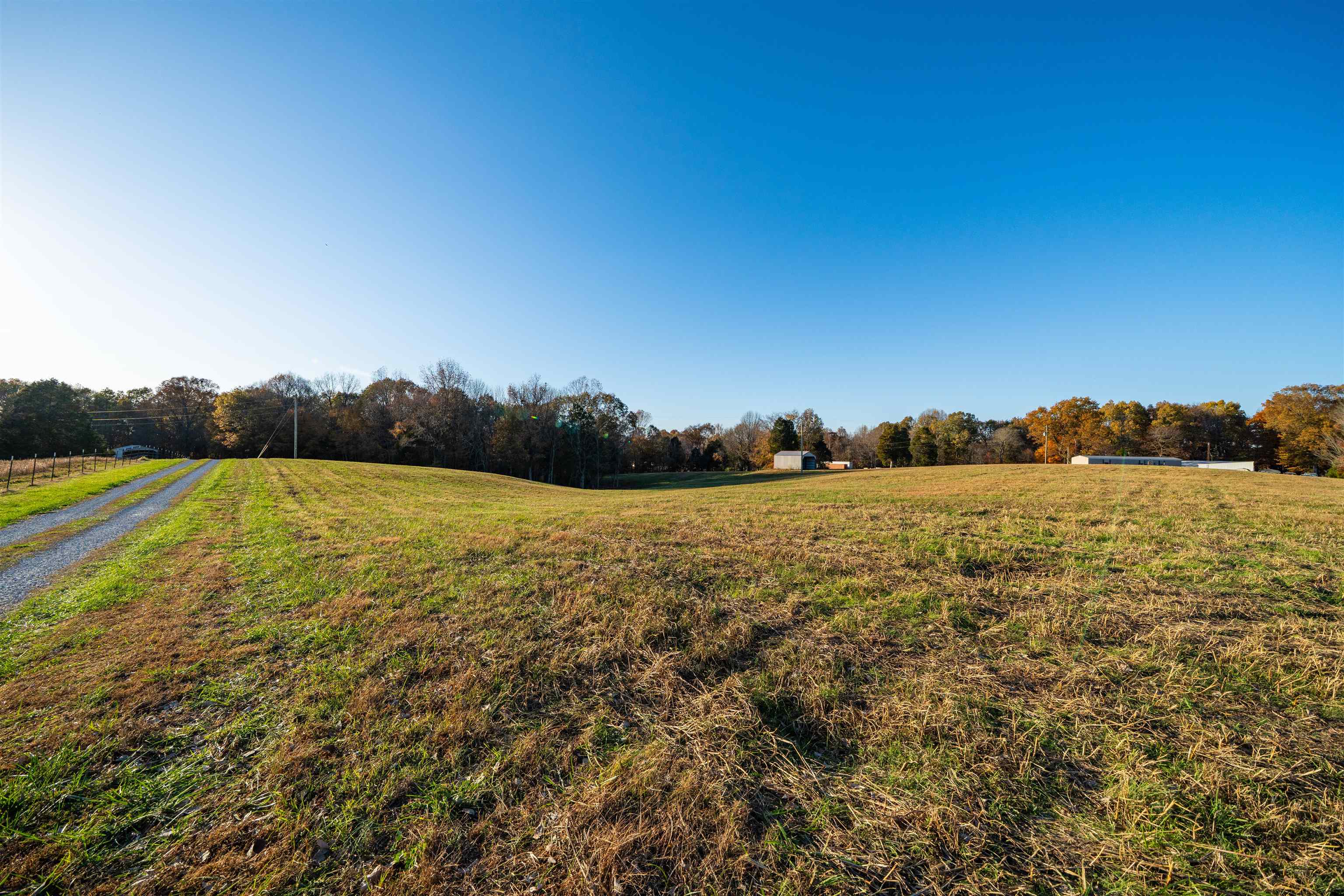 Moseley Rd, Utica, Kentucky 42376, ,Land,For Sale,Moseley Rd,93530