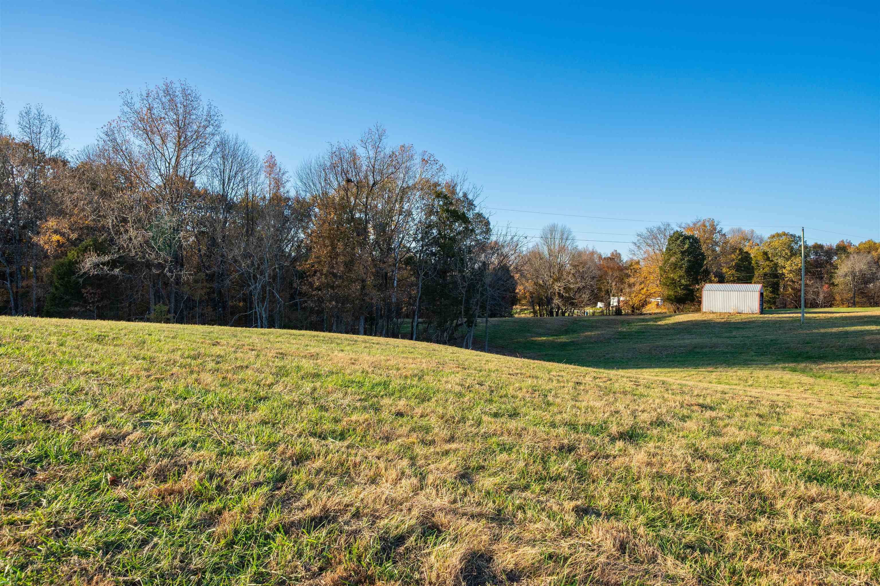 Moseley Rd, Utica, Kentucky 42376, ,Land,For Sale,Moseley Rd,93530