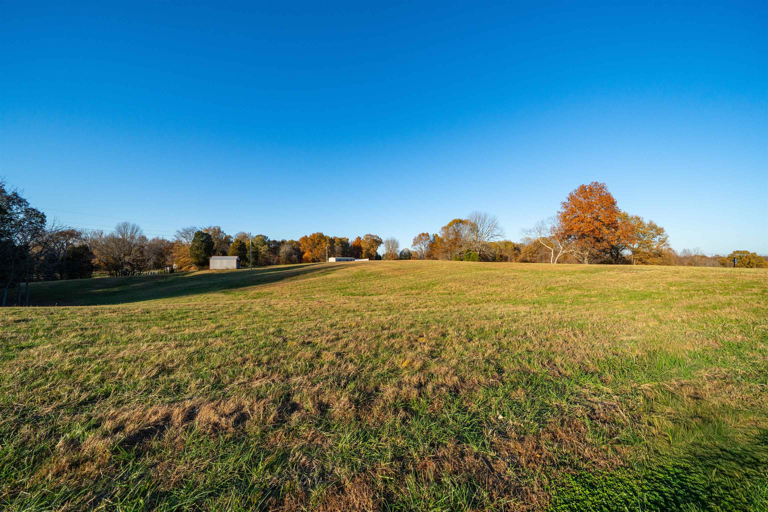 Moseley Rd, Utica, Kentucky 42376, ,Land,For Sale,Moseley Rd,93530