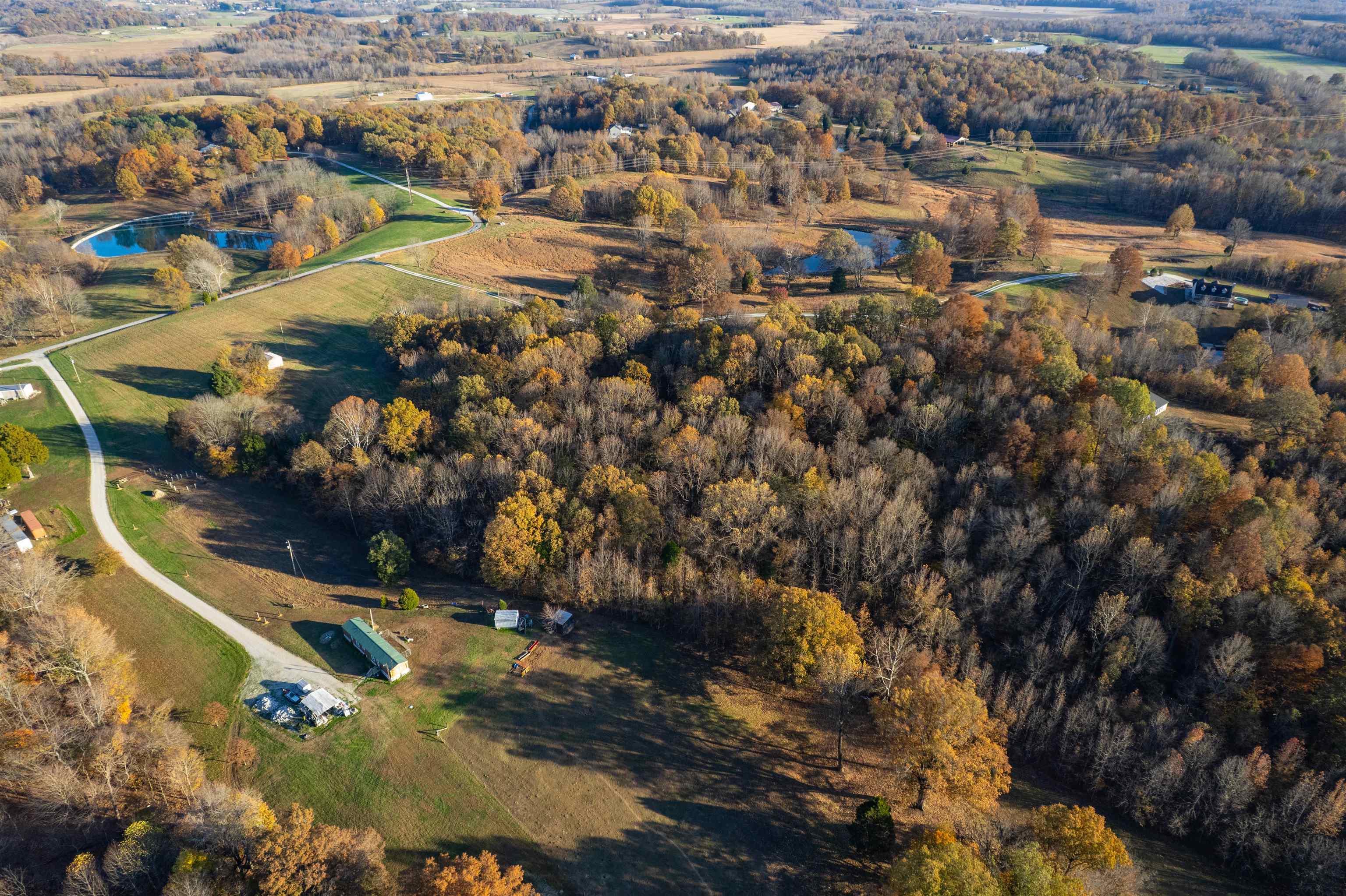 Moseley Rd, Utica, Kentucky 42376, ,Land,For Sale,Moseley Rd,93530