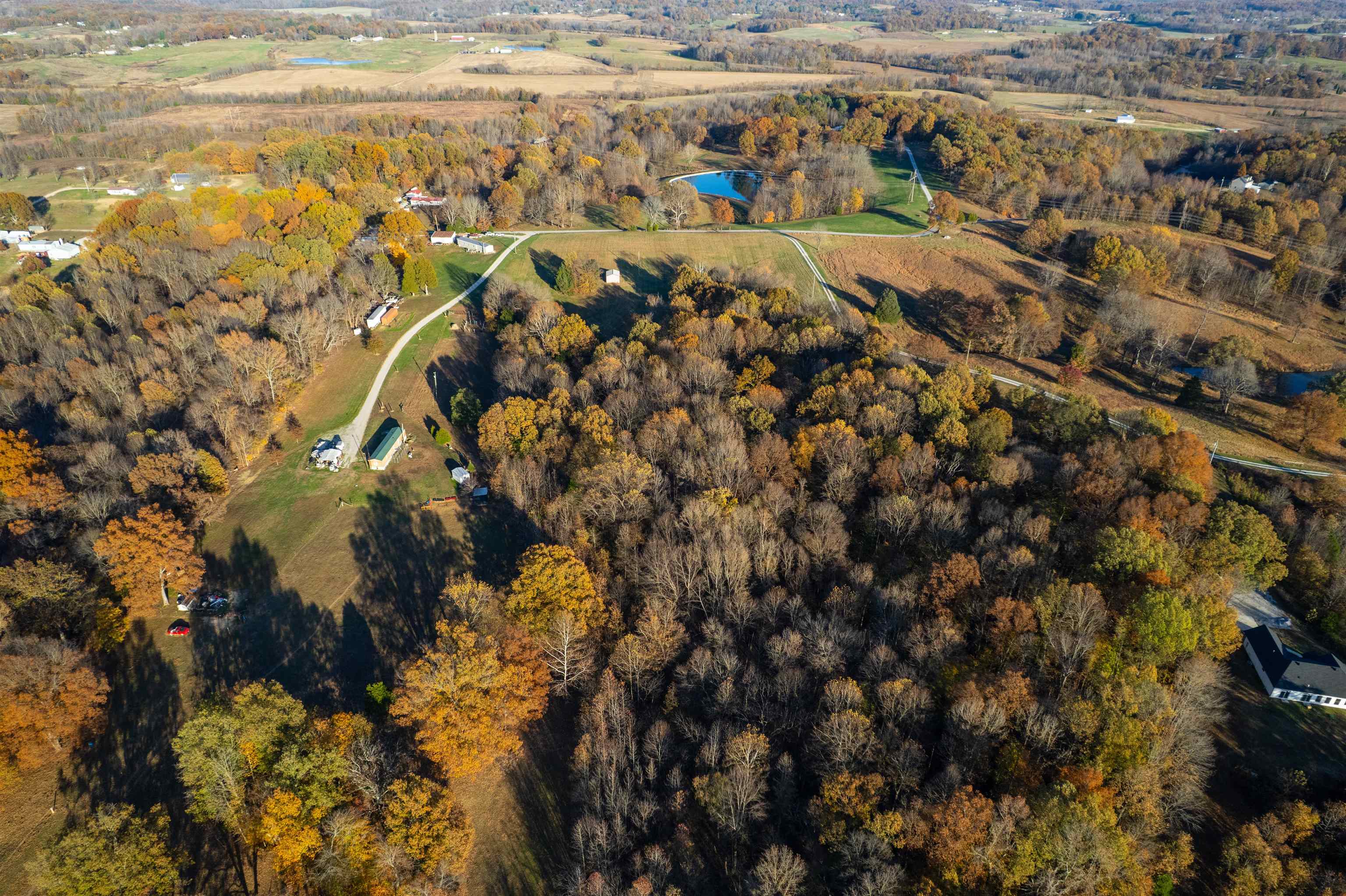 Moseley Rd, Utica, Kentucky 42376, ,Land,For Sale,Moseley Rd,93530