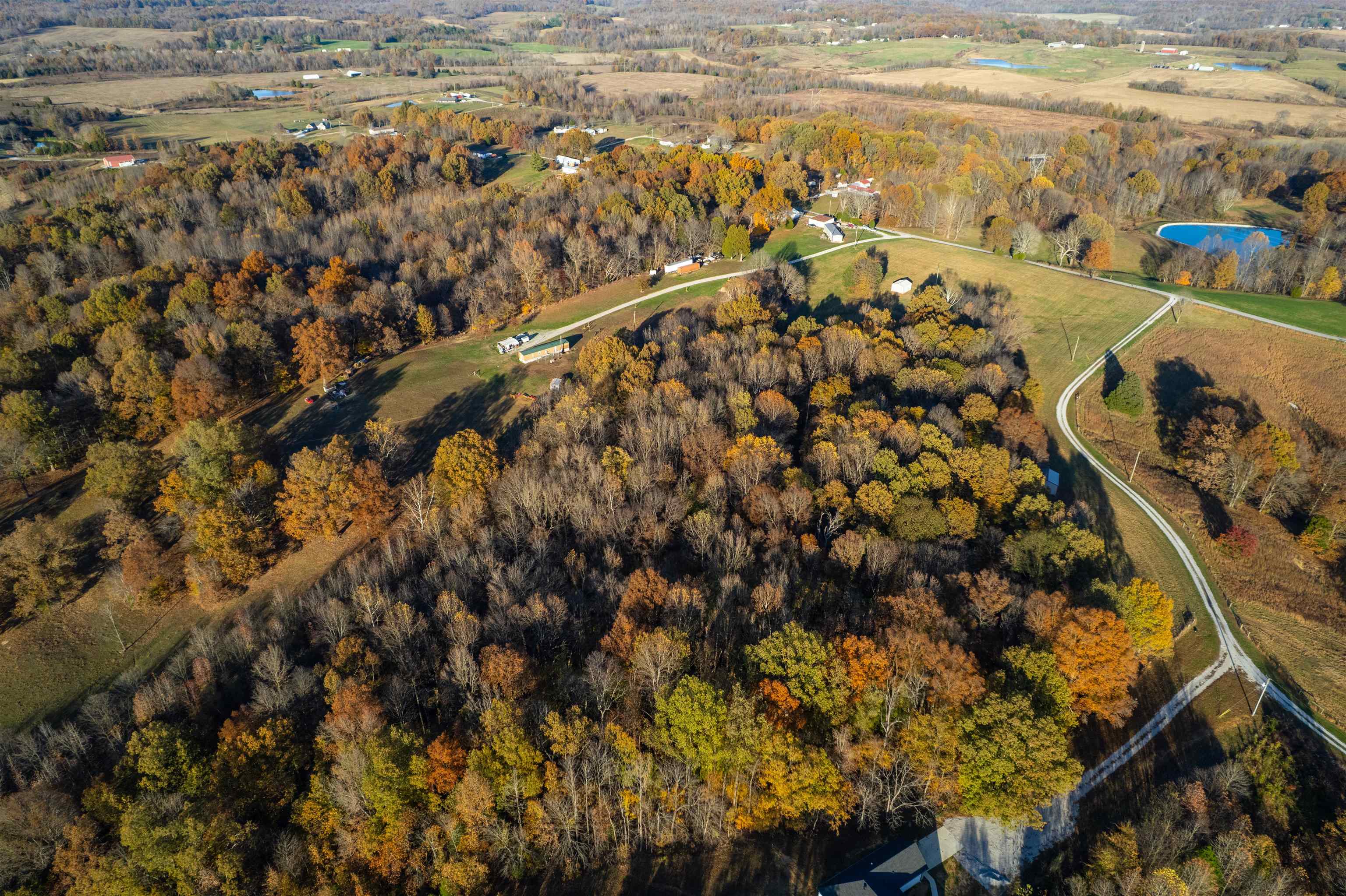 Moseley Rd, Utica, Kentucky 42376, ,Land,For Sale,Moseley Rd,93530