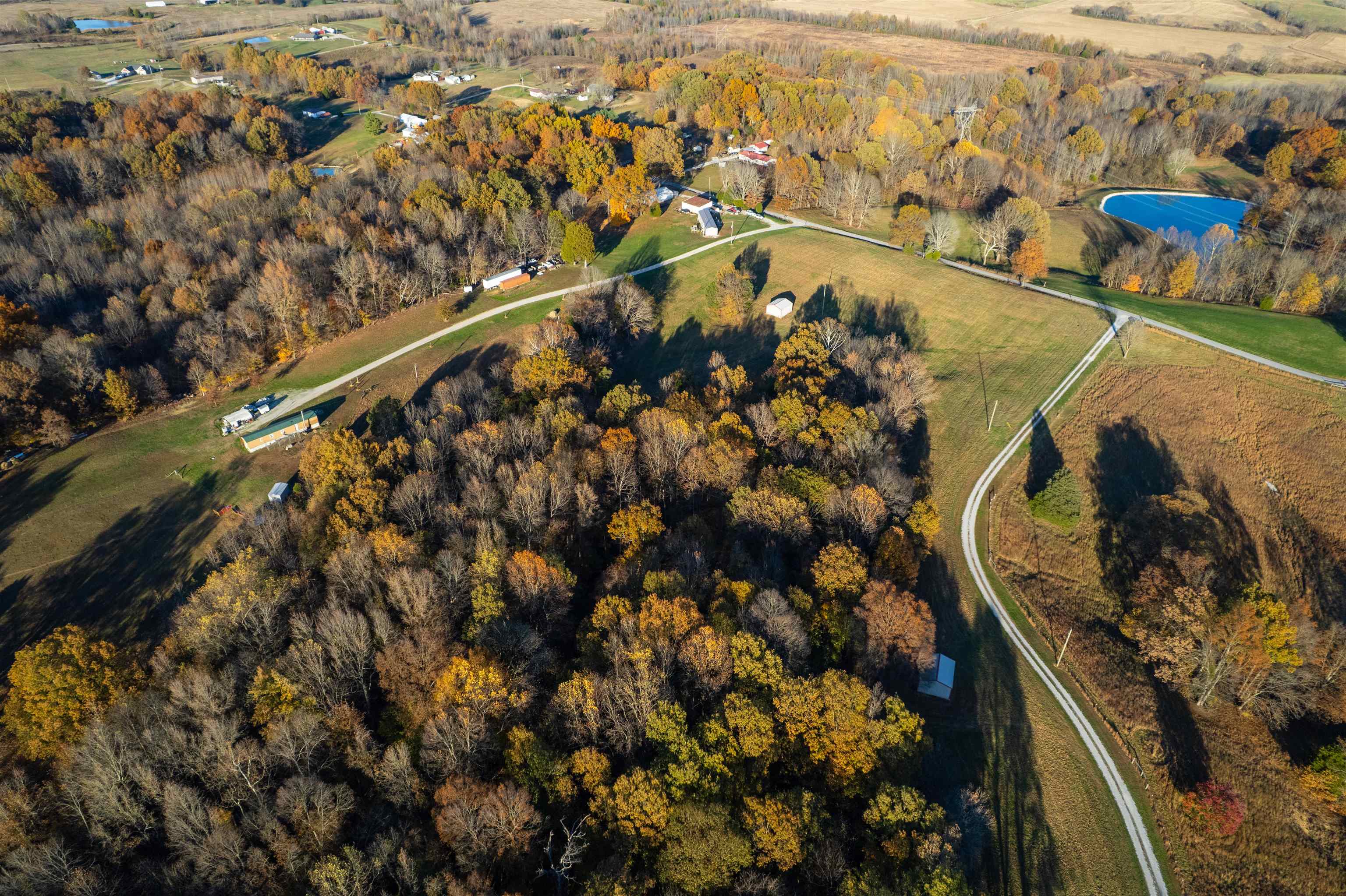 Moseley Rd, Utica, Kentucky 42376, ,Land,For Sale,Moseley Rd,93530