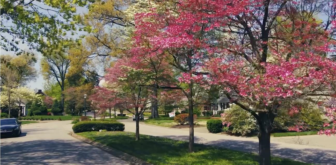 1053 Hill Ave, Owensboro, Kentucky 42301, 3 Bedrooms Bedrooms, ,2 BathroomsBathrooms,Single Family Residence,For Sale,Hill Ave,93552